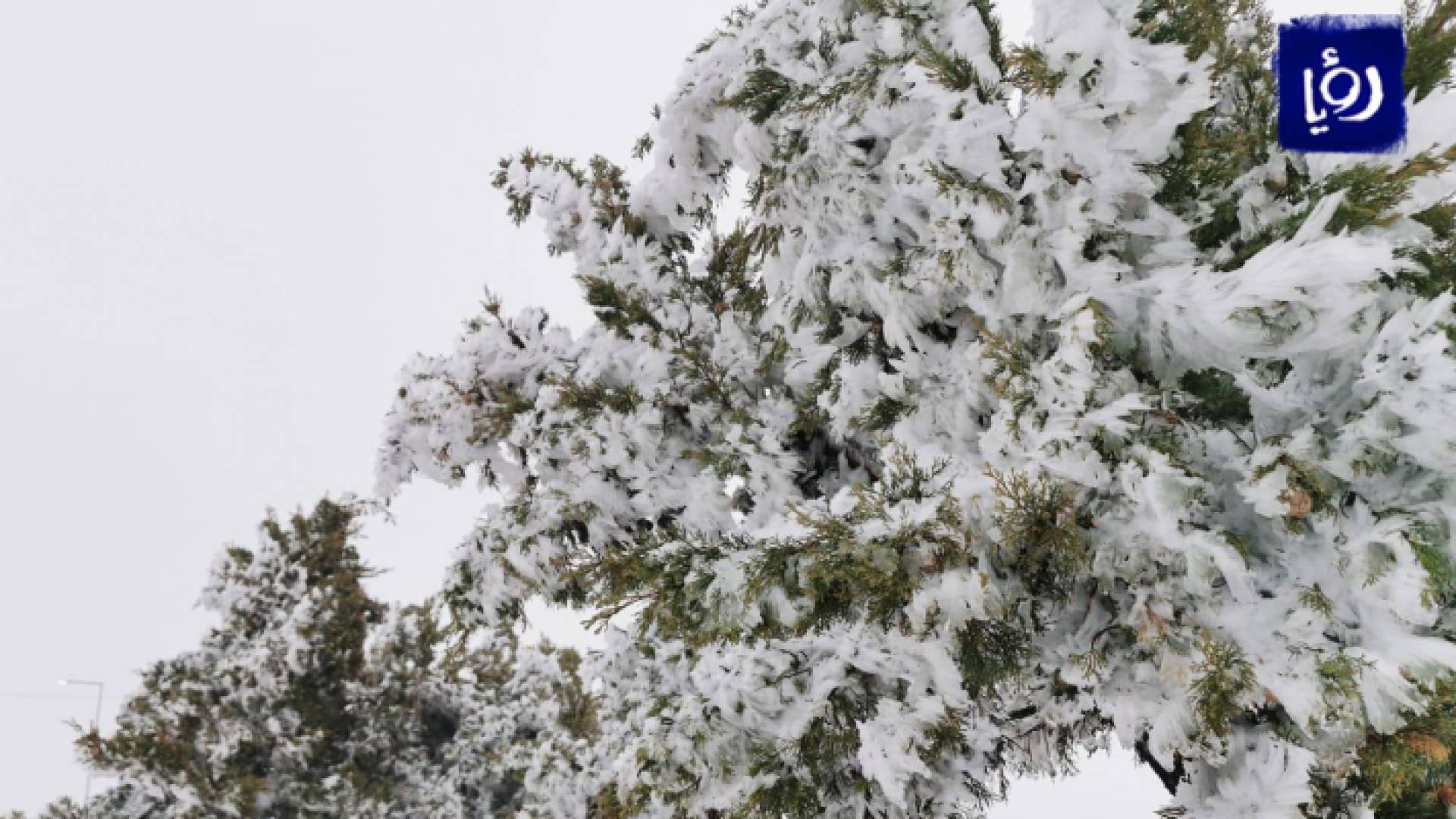 ثلوج الطفيلة مؤخرا