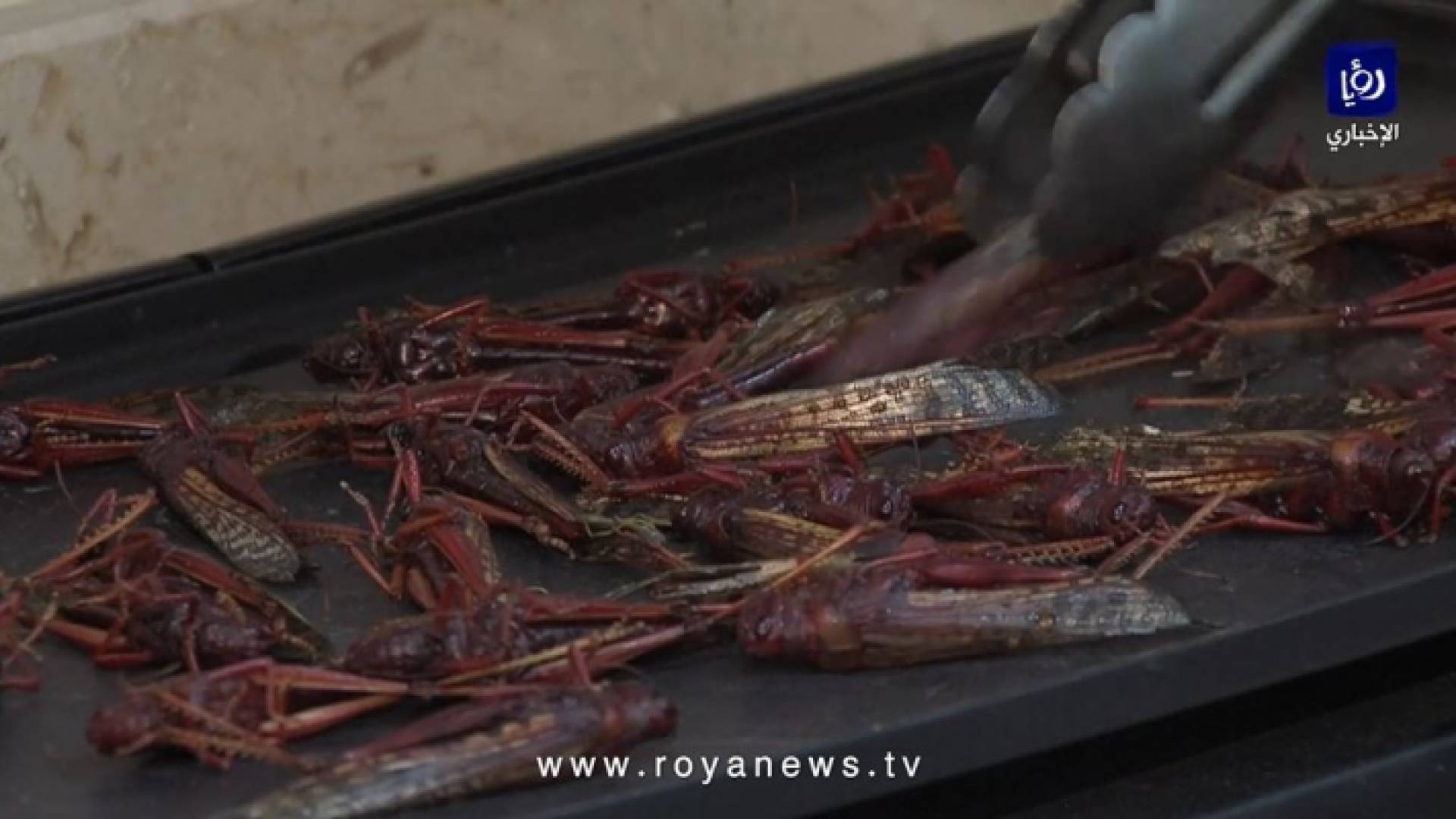 الصورة من الفيديو