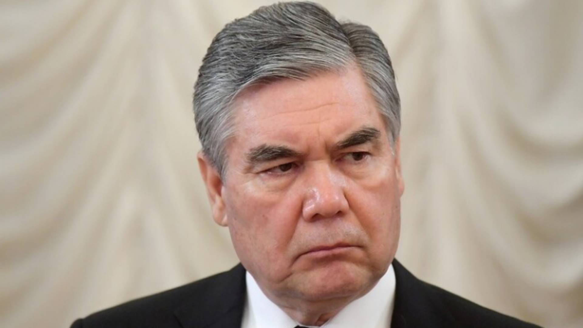 شيبة الرئيس لونها رمادي