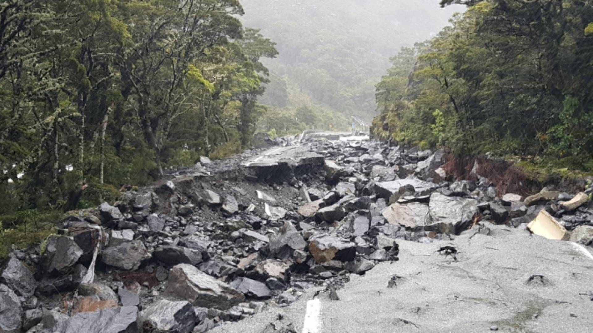 فيضانات في نيوزيلندا