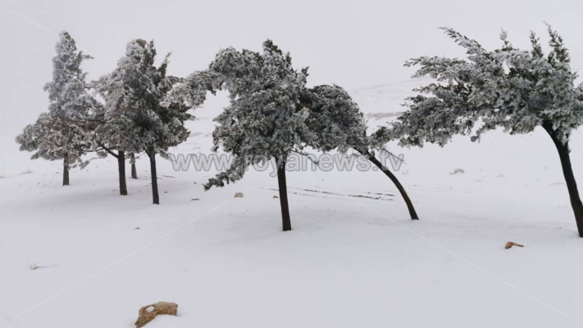 ثلوج الطفيلة مؤخراً