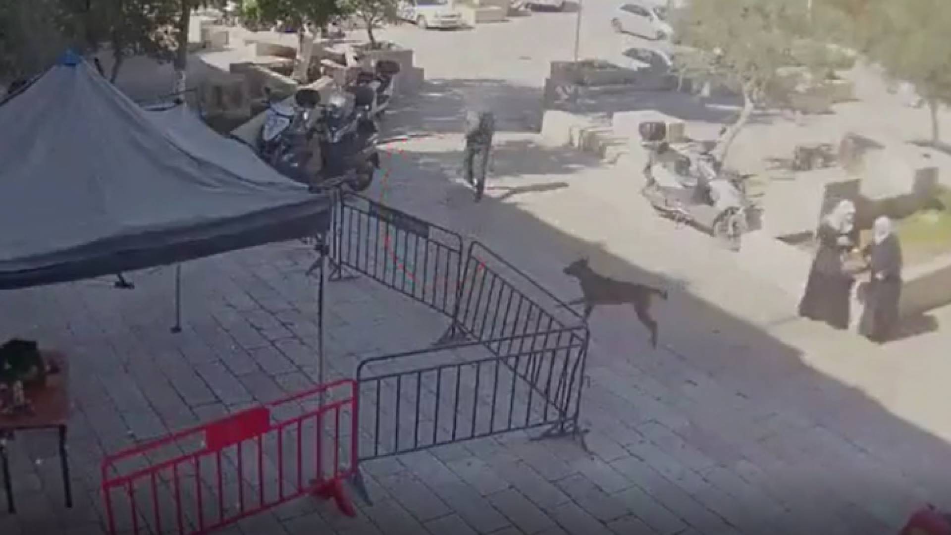 لحظة إطلاق النار على جنود الاحتلال في القدس