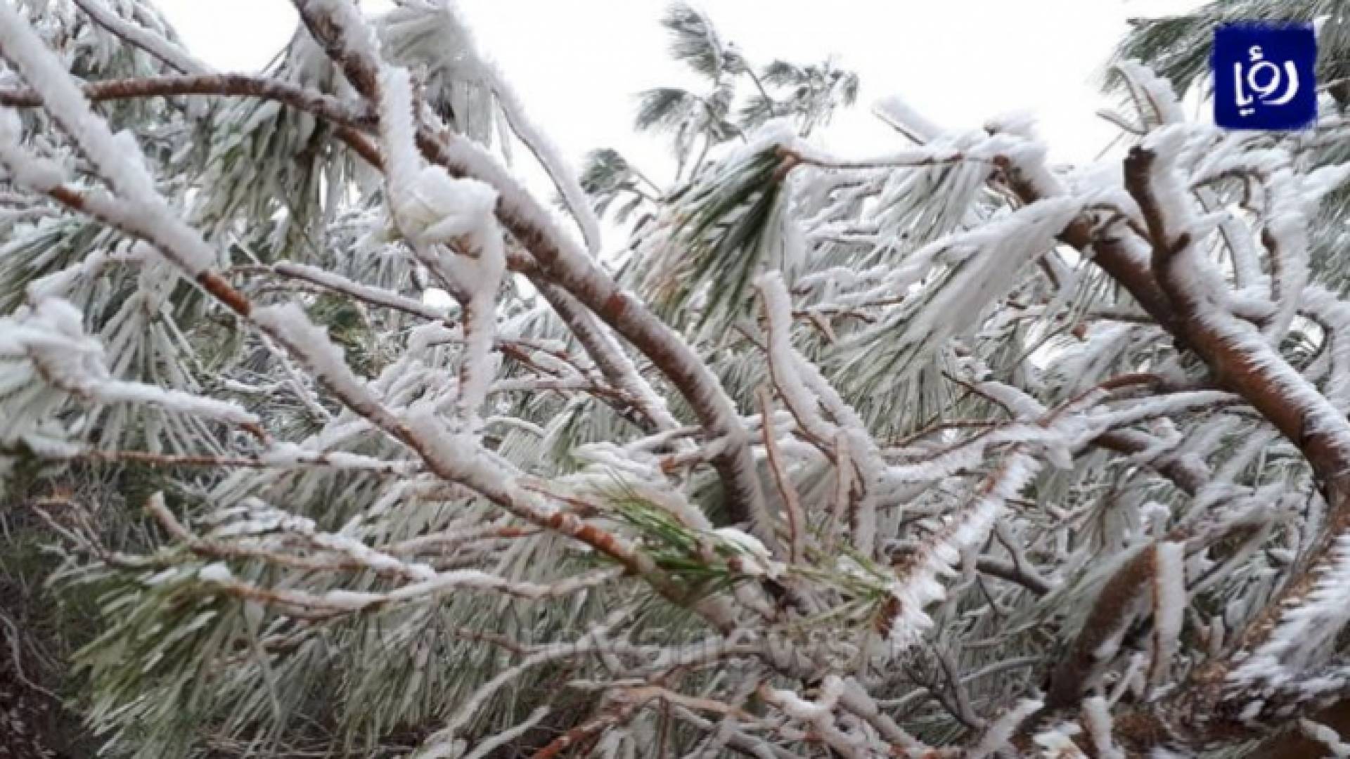 جليد - ارشيفية