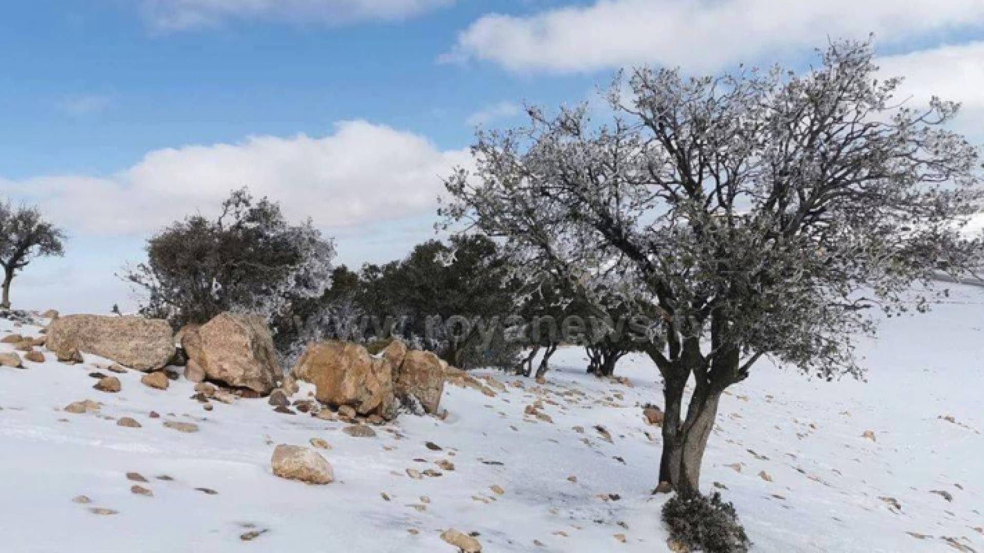 الصورة أرشيفية