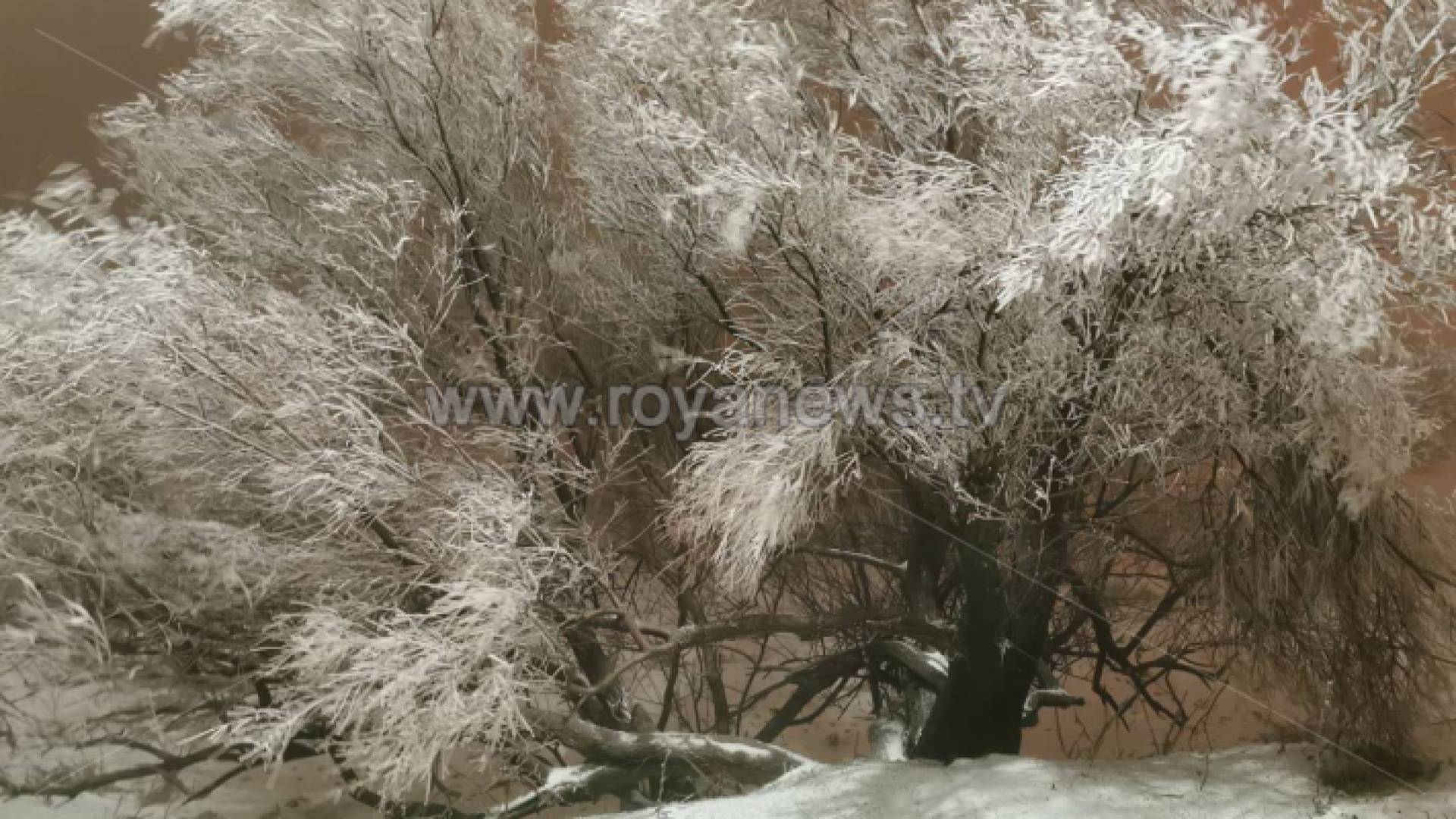 بدء تشكل الانجماد بمنطقة الرشادية في الطفيلة