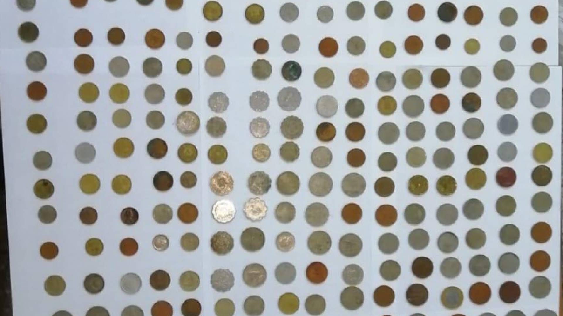 من المضبوطات