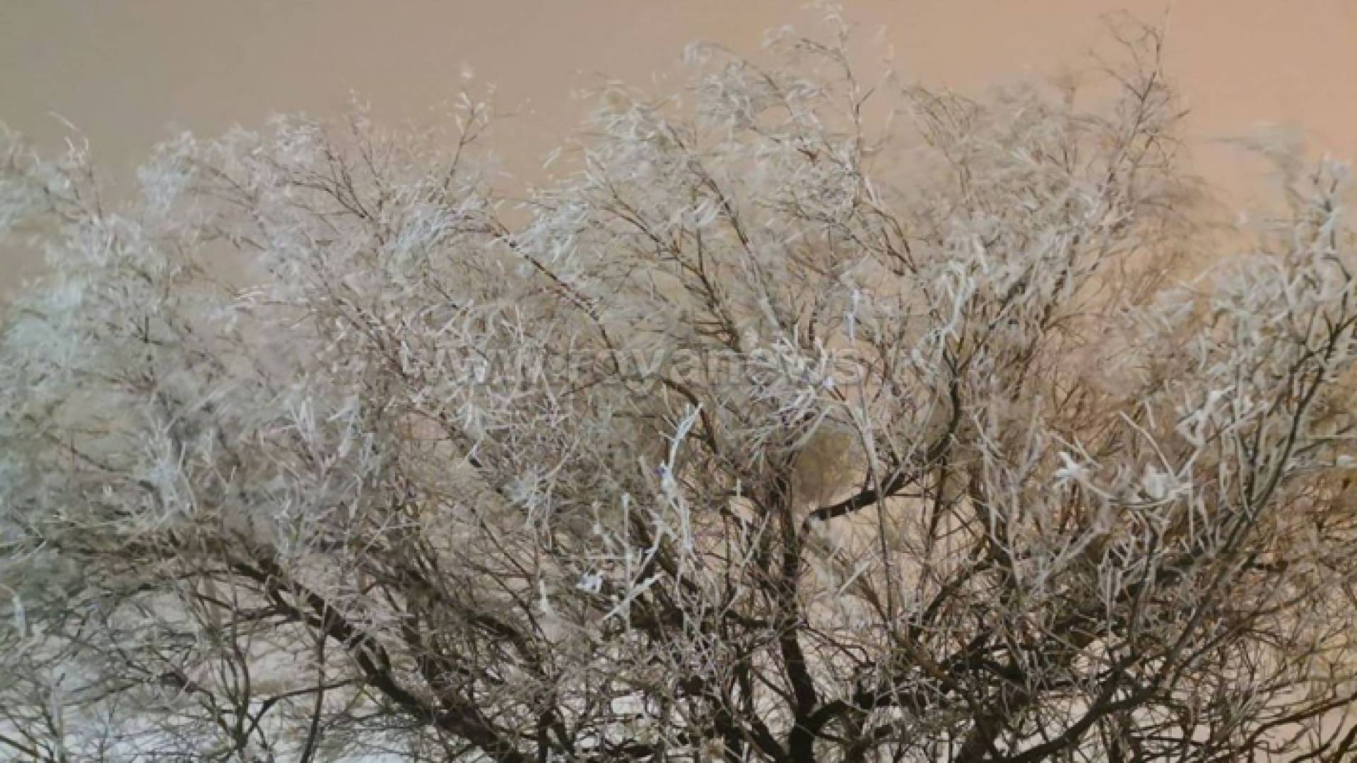 محطة الكرك سجلت درجة الحرارة -6 مئوية