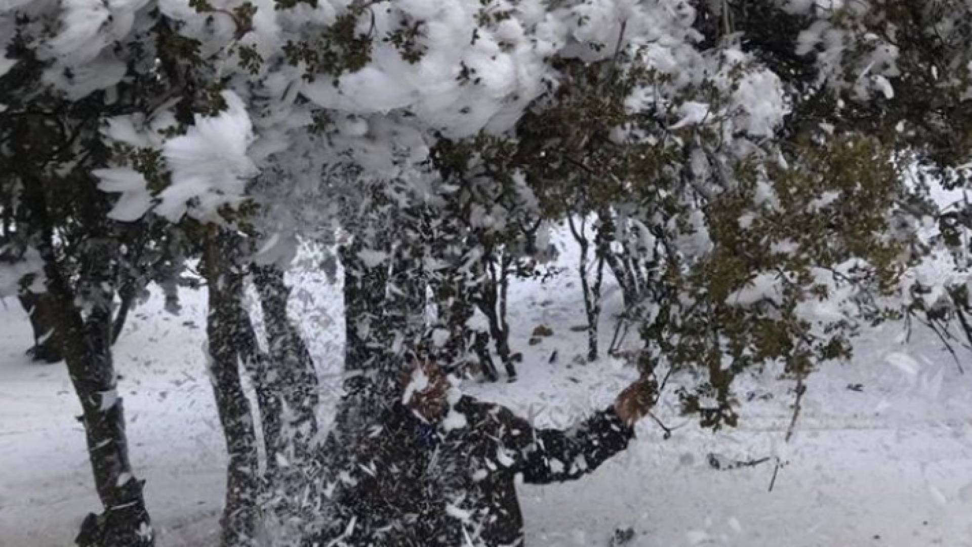 درجة الحرارة دون الصفر في العاصمة عمان هذه الليلة