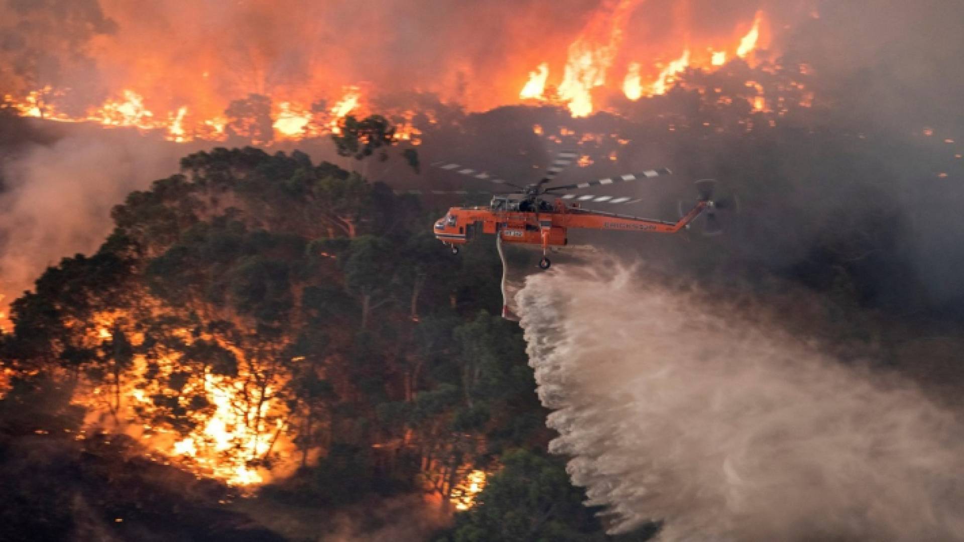 الصورة أرشيفية