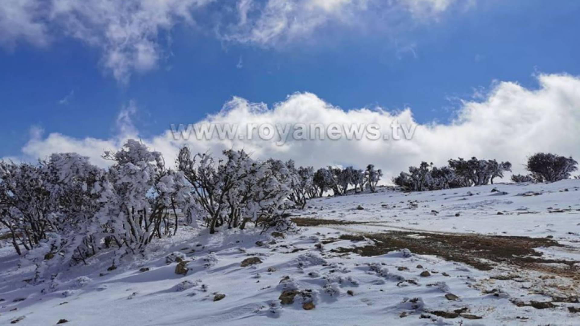 الثلوج في منطقة الهيشة صباح اليوم 11-2-2020