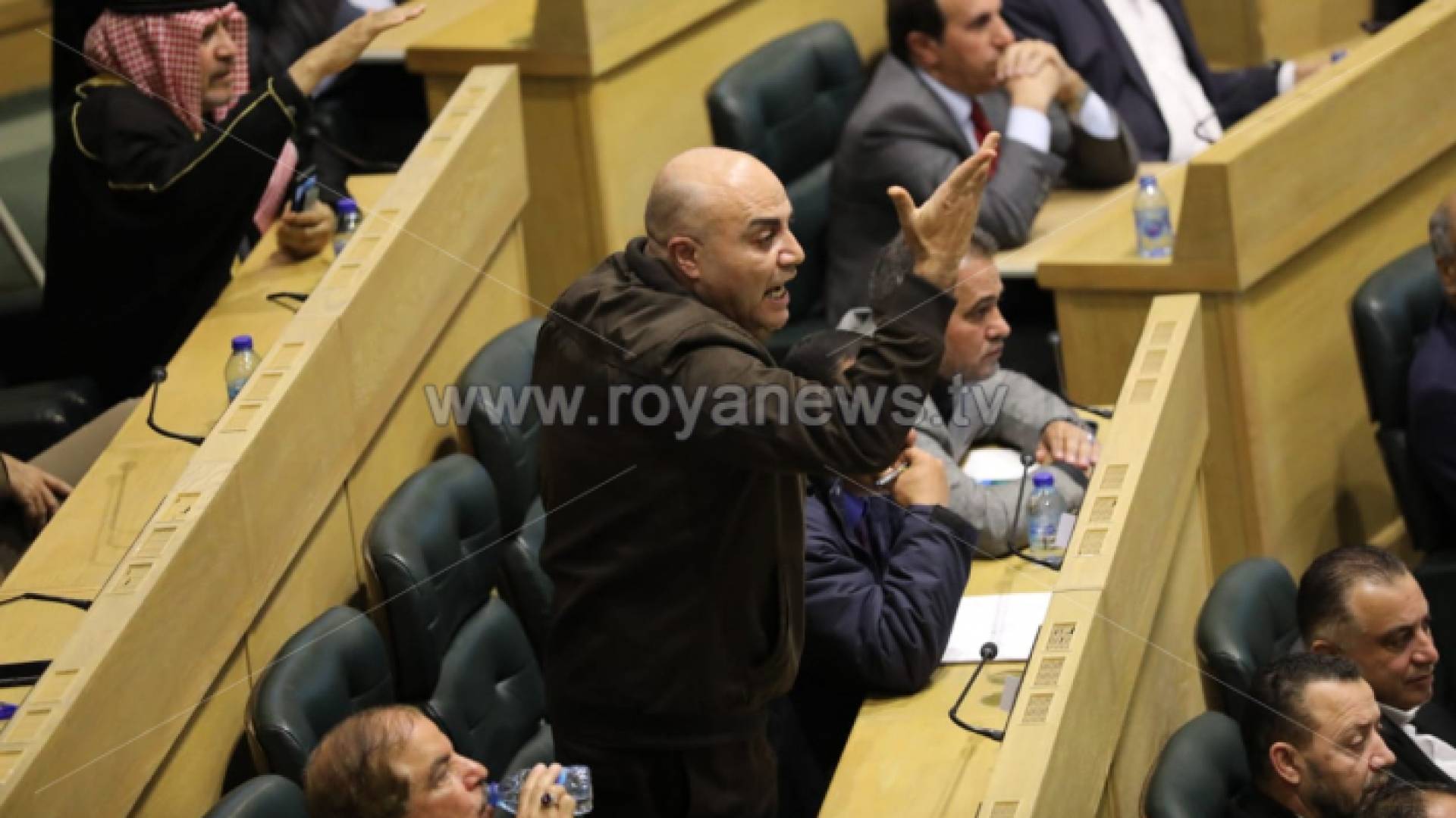 النائب صداح الحباشنة