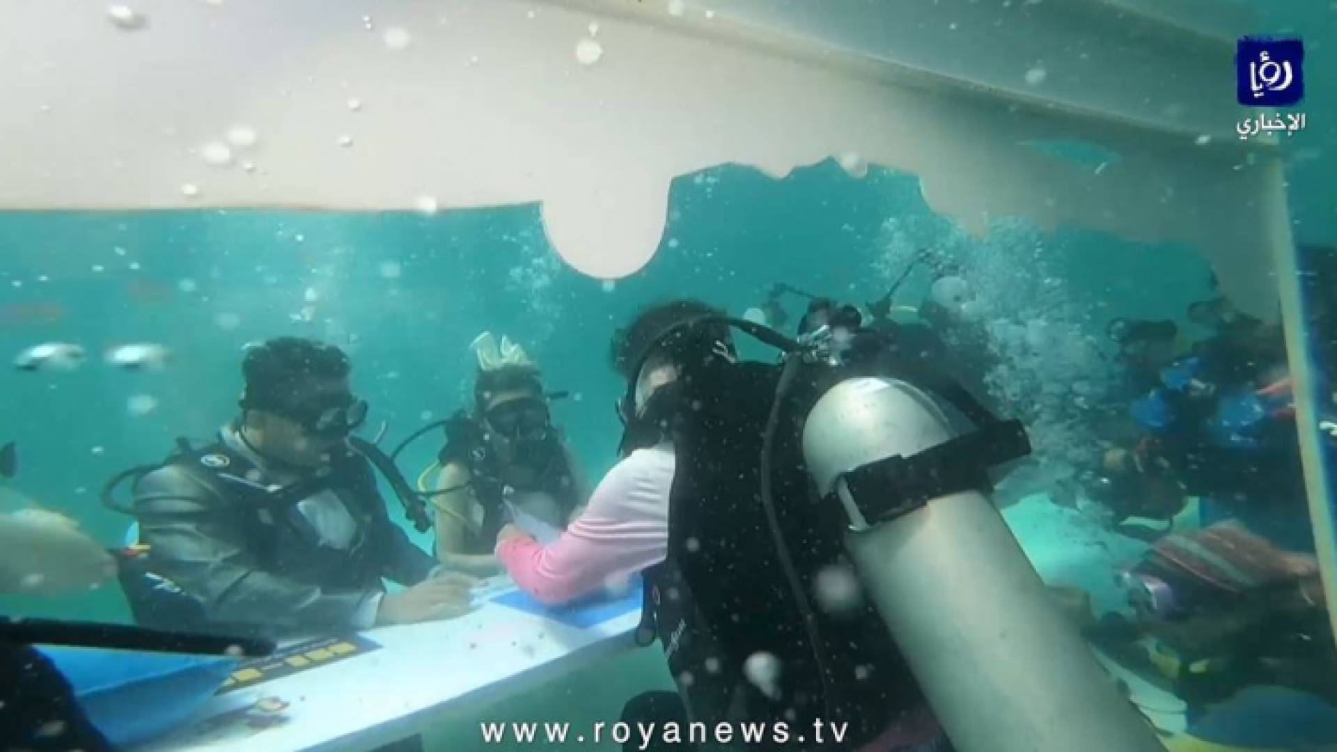 صورة من الفيديو