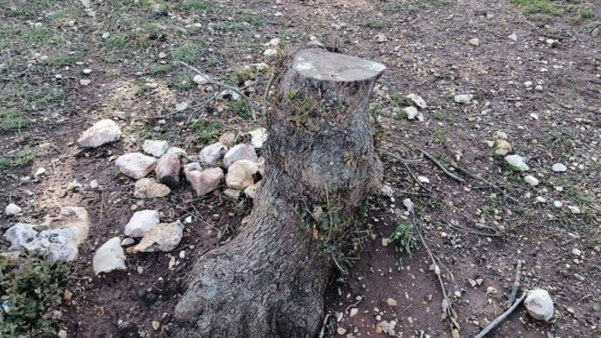 من مكان الاعتداء