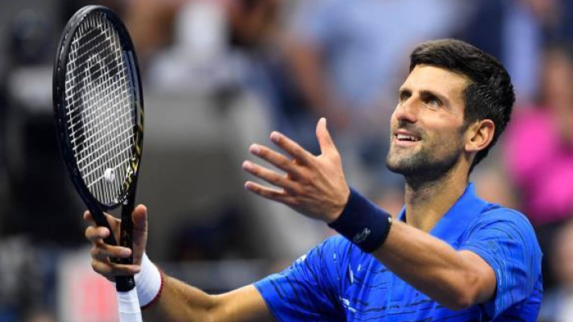 نوفاك ديوكوفيتش