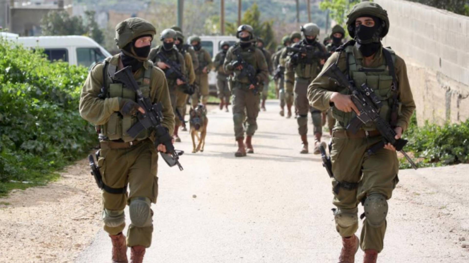 الصورة أرشيفية