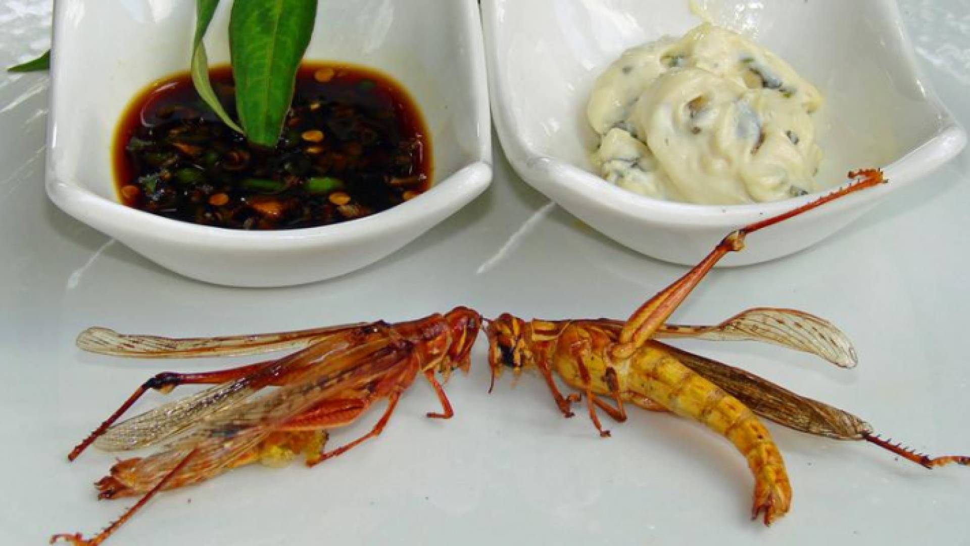 الصورة أرشيفية