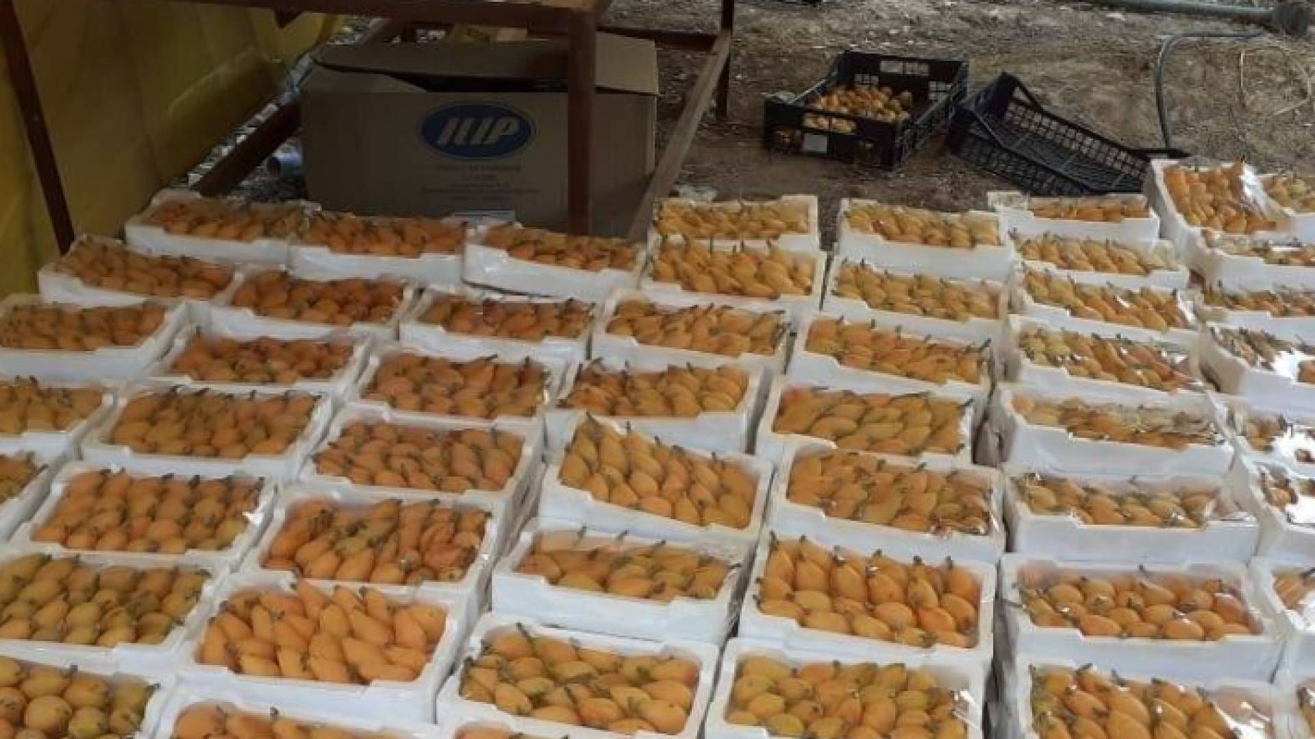 منتجات اردنية