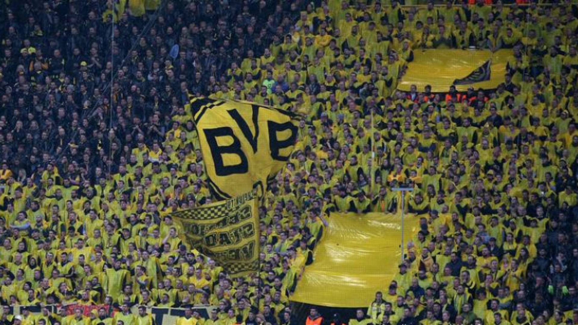 جماهير دورتموند