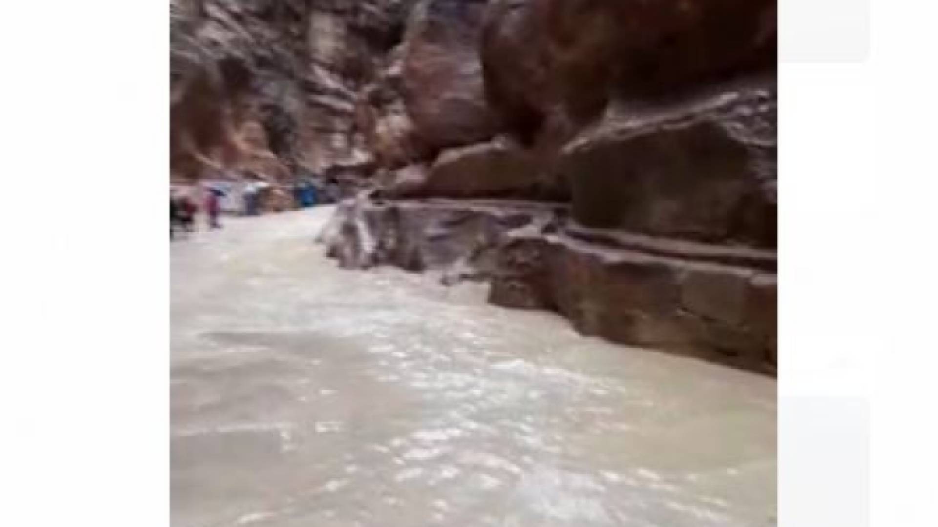 صورة من الفيديو