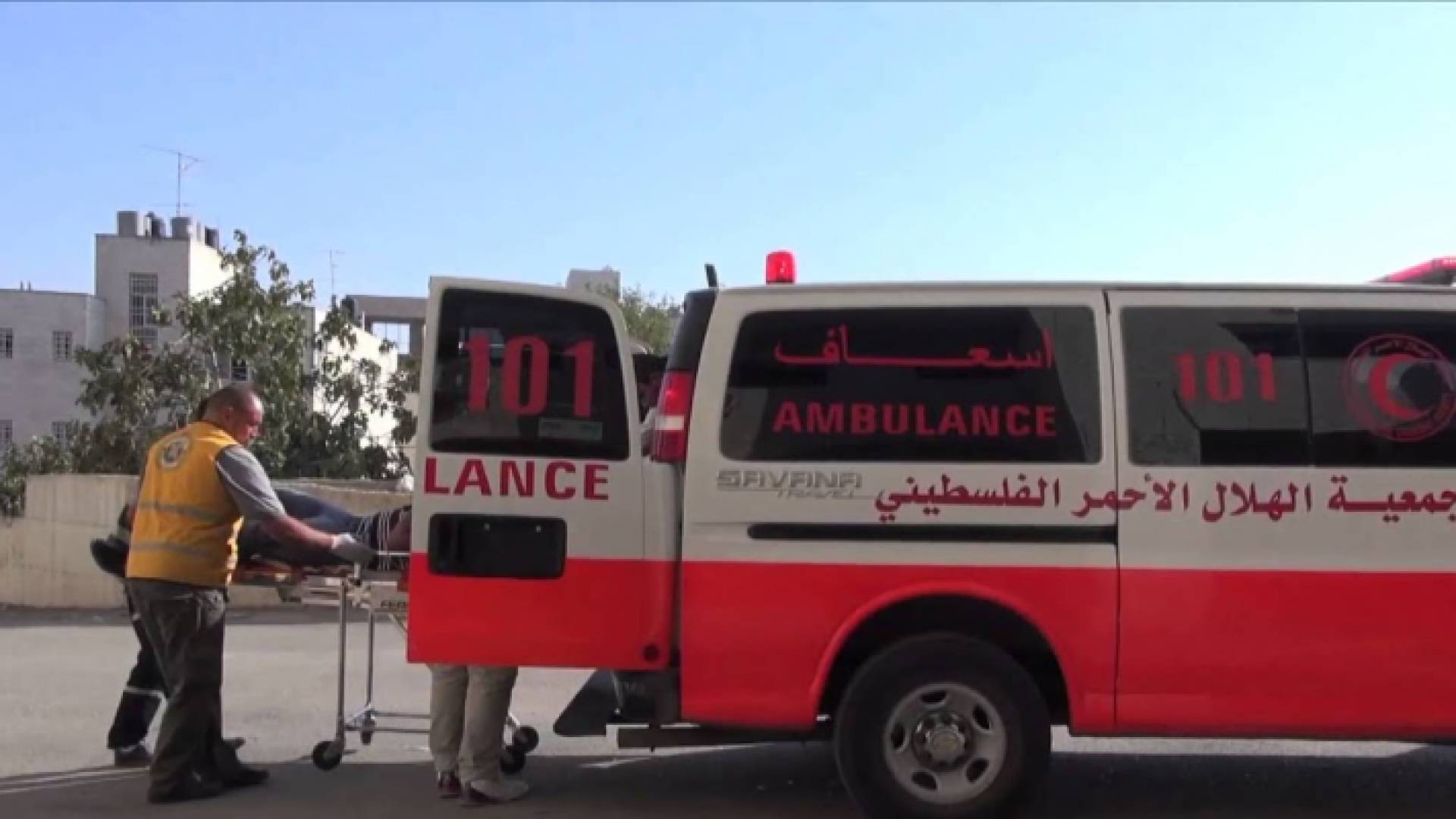 ارشيفية