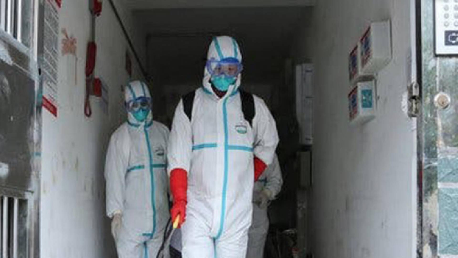 الفيروس يتفشى في العديد من دول العالم