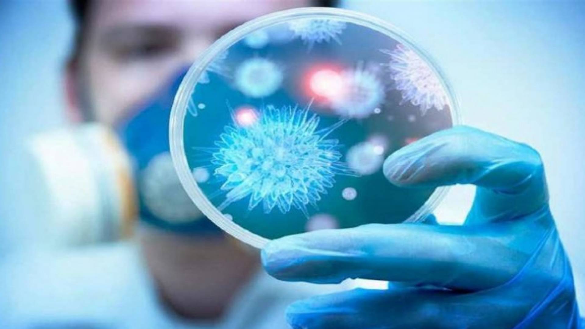 فيروس كورونا