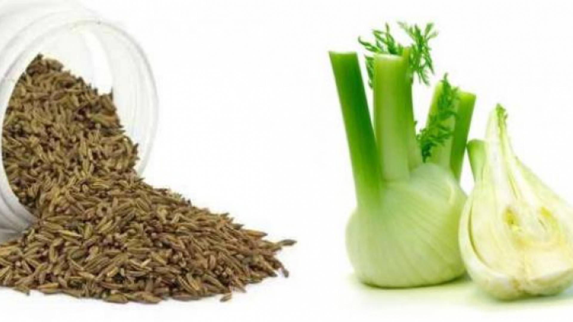 نبات الشومر