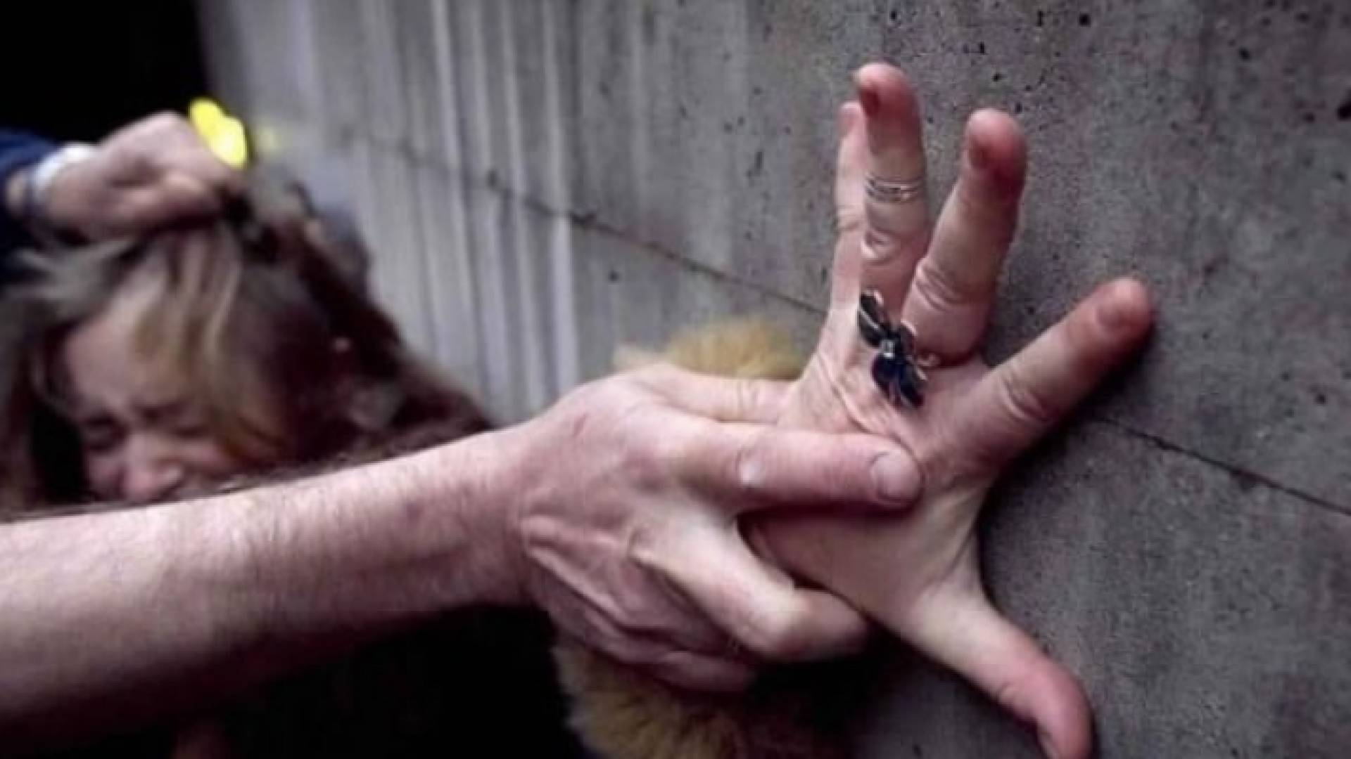 الصورة أرشيفية