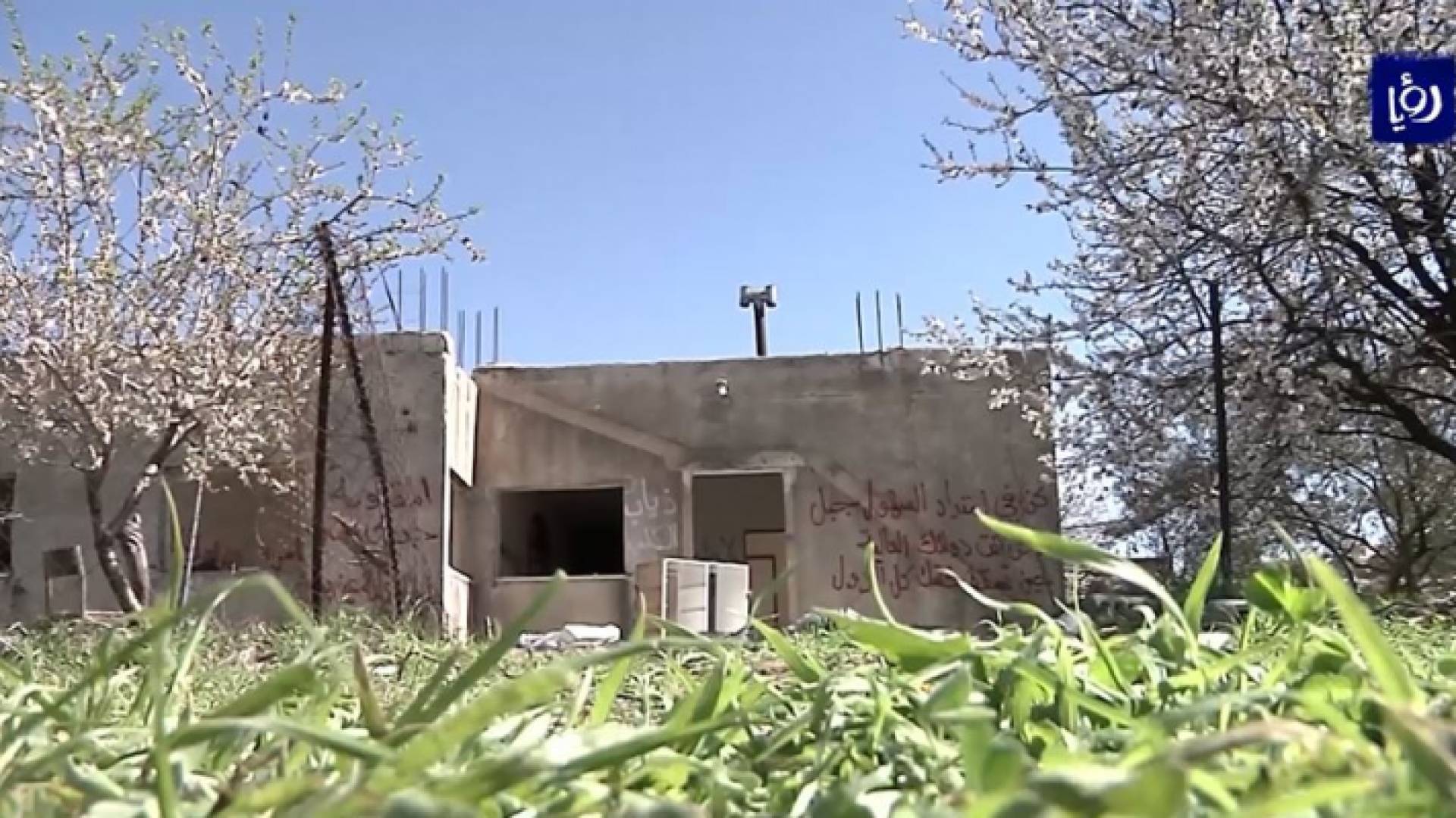 صورة من الفيديو