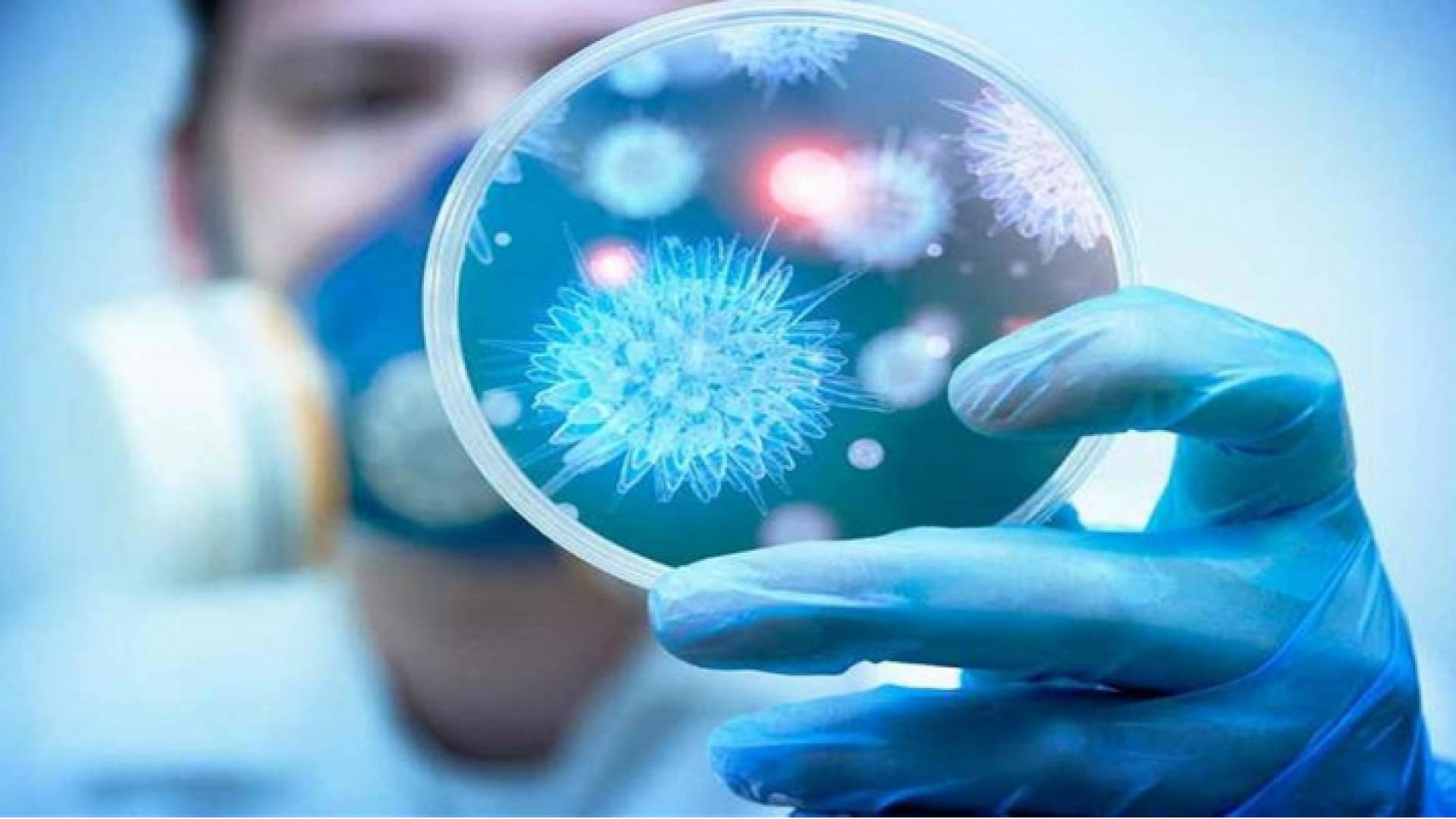 منظمة الصحة العالمية تصدر توضيحا بشأن تطوير لقاحات فيروس كورونا