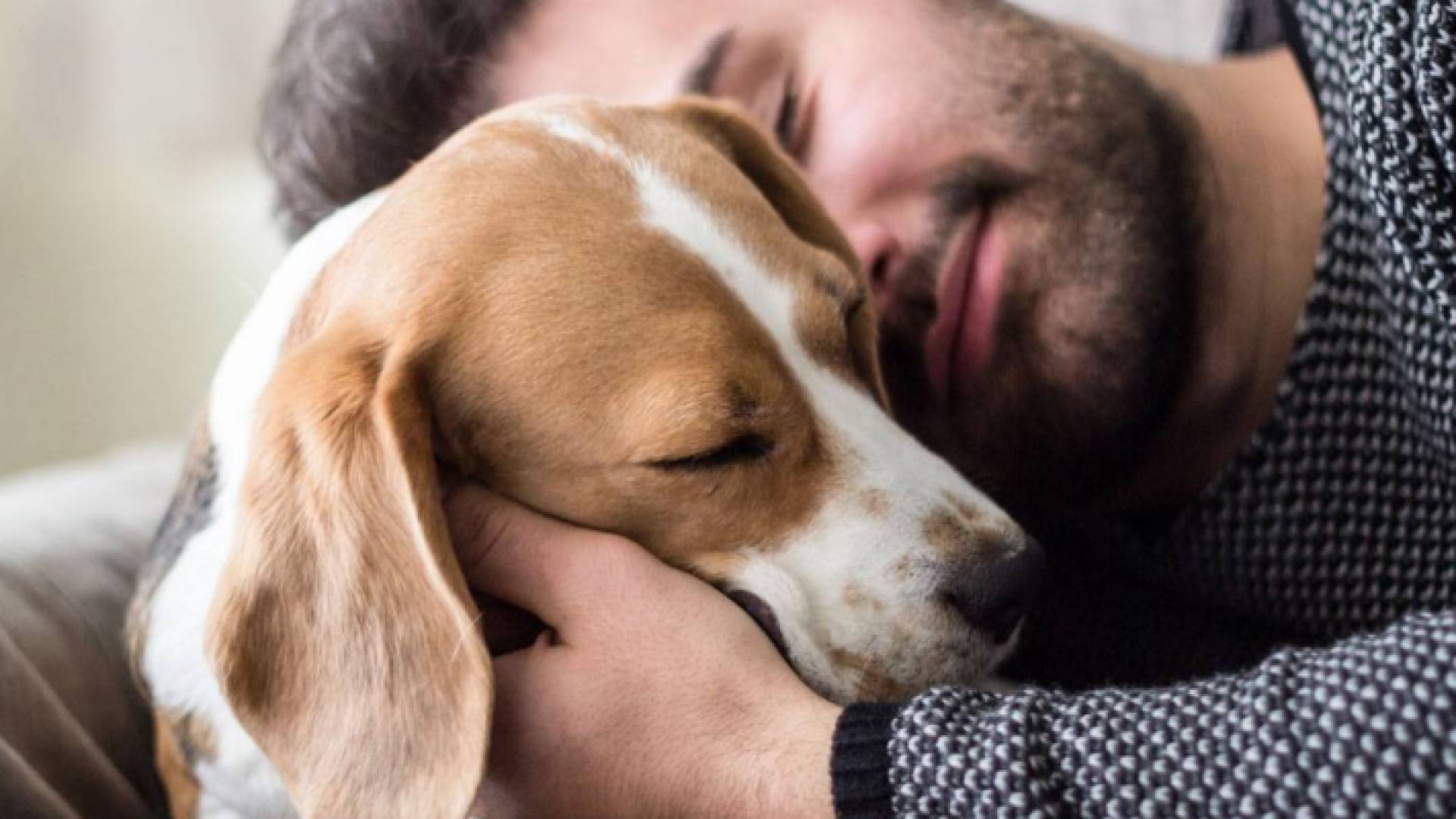 الصورة أرشيفية