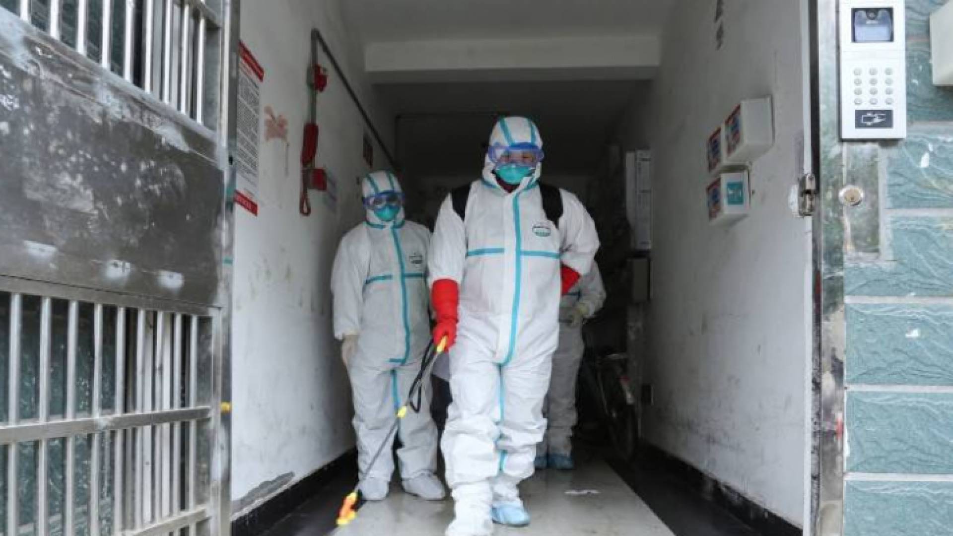 ولاية نيويورك الأمريكية تعلن حالة الطوارئ بعد تفش كبير لفيروس كورونا