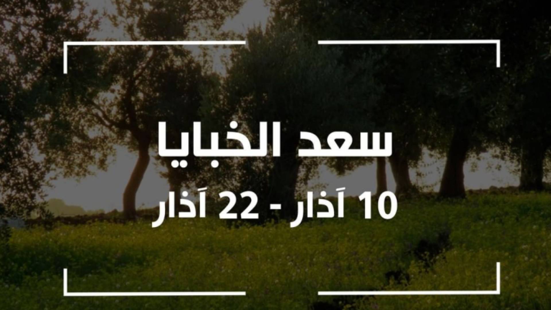 سعد الخبايا