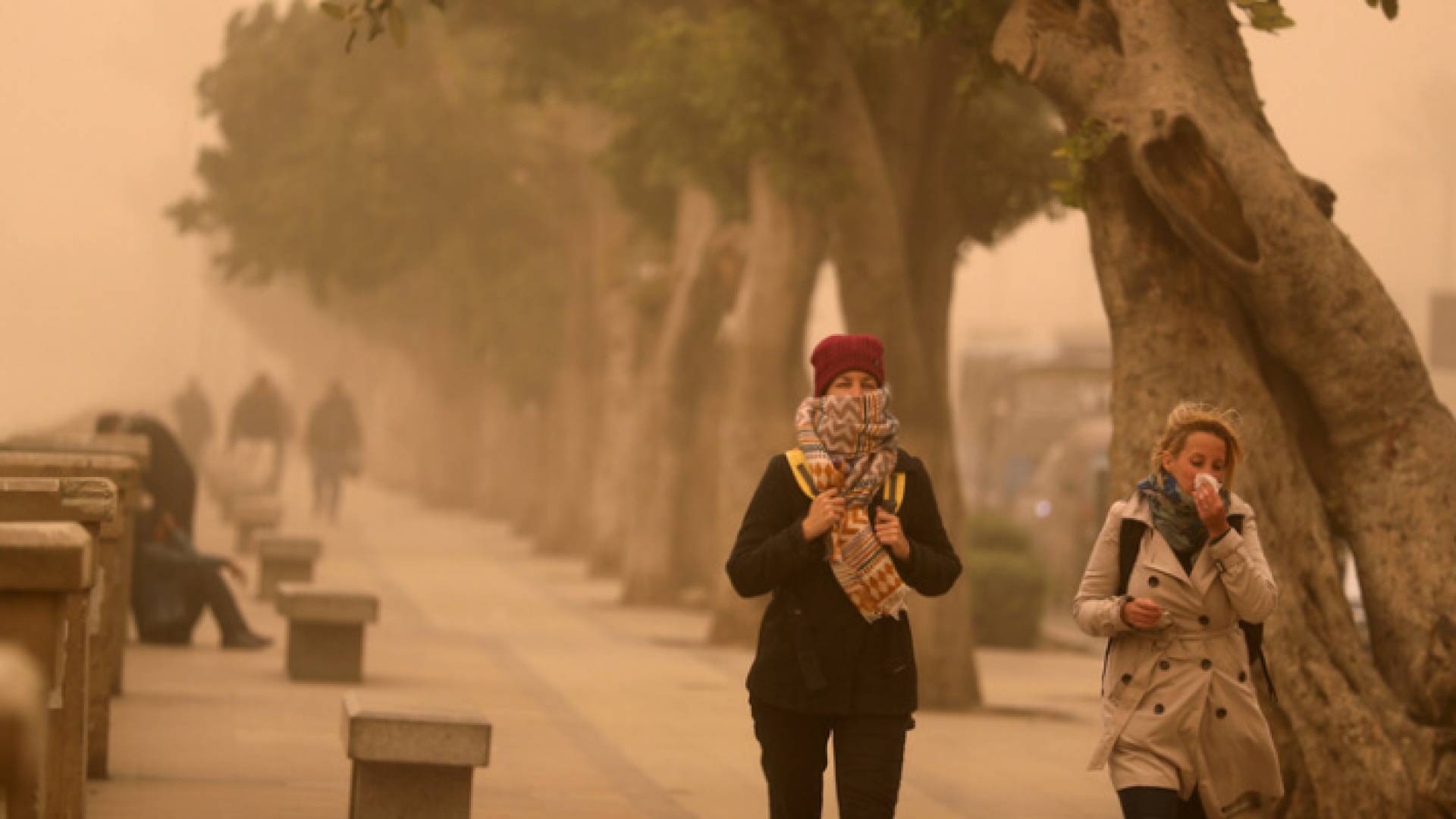أجواء مغبرة في مصر