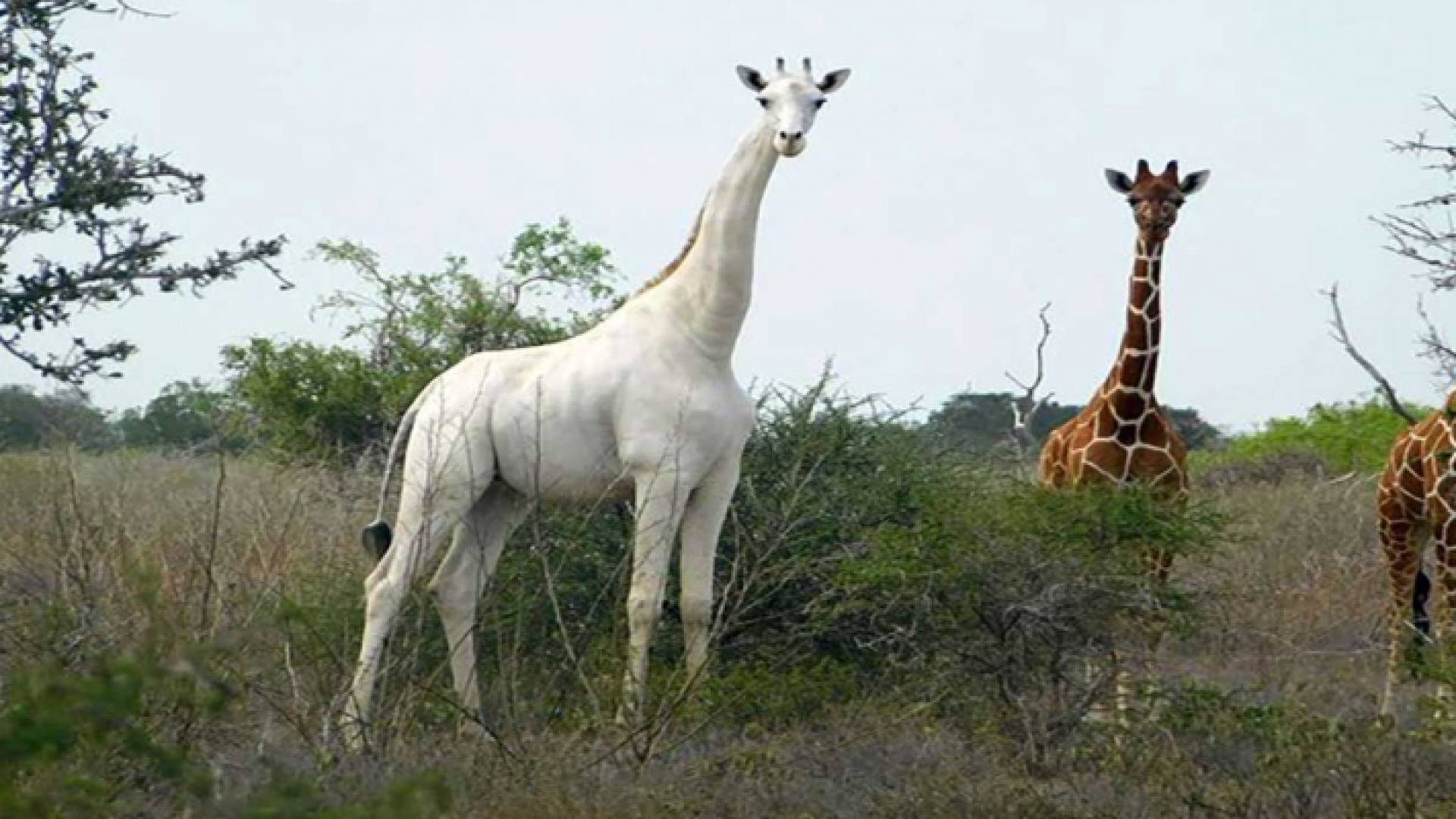 الصورة أرشيفية