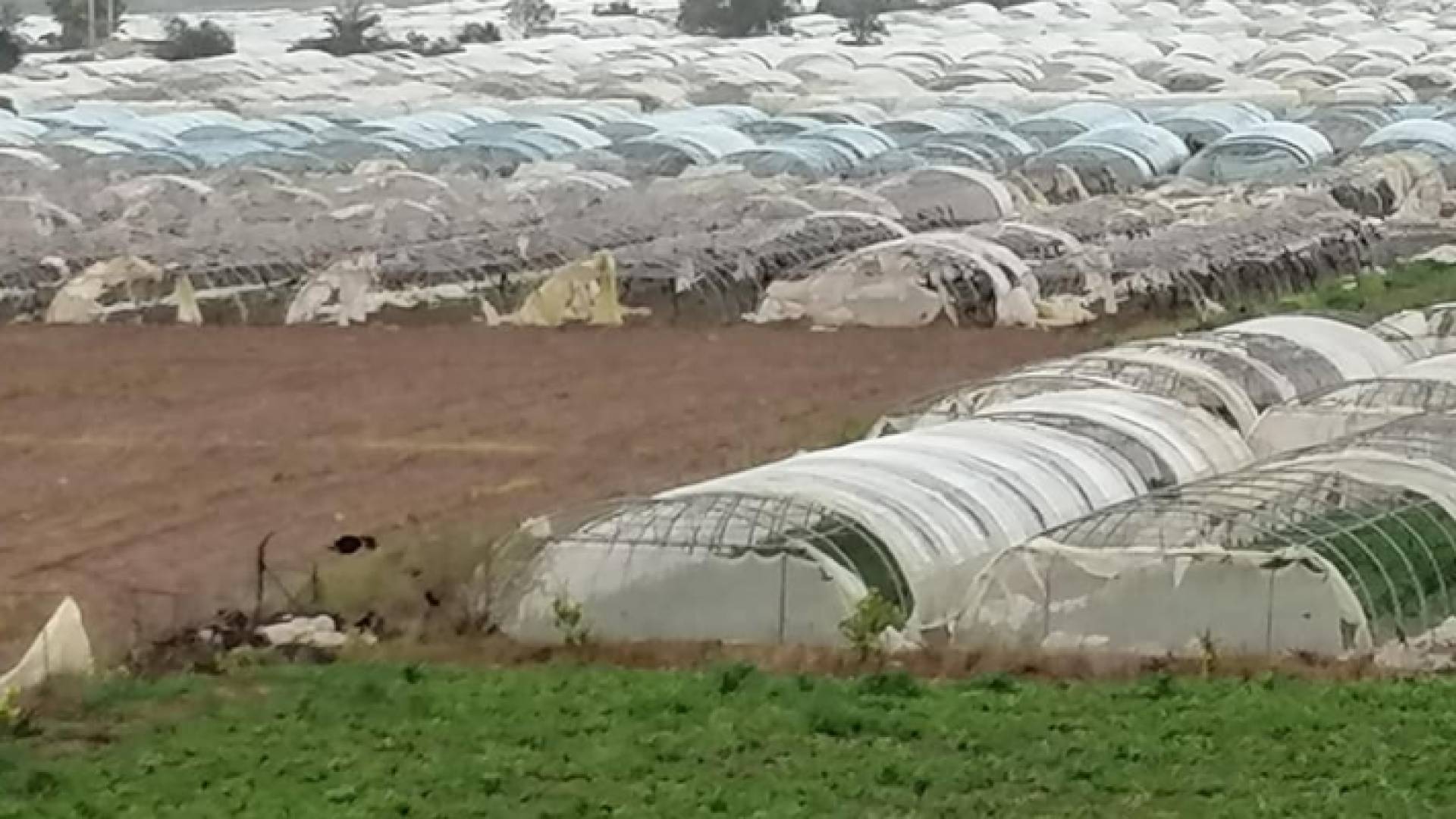 من وادي الاردن - مواقع التواصل الاجتماعي