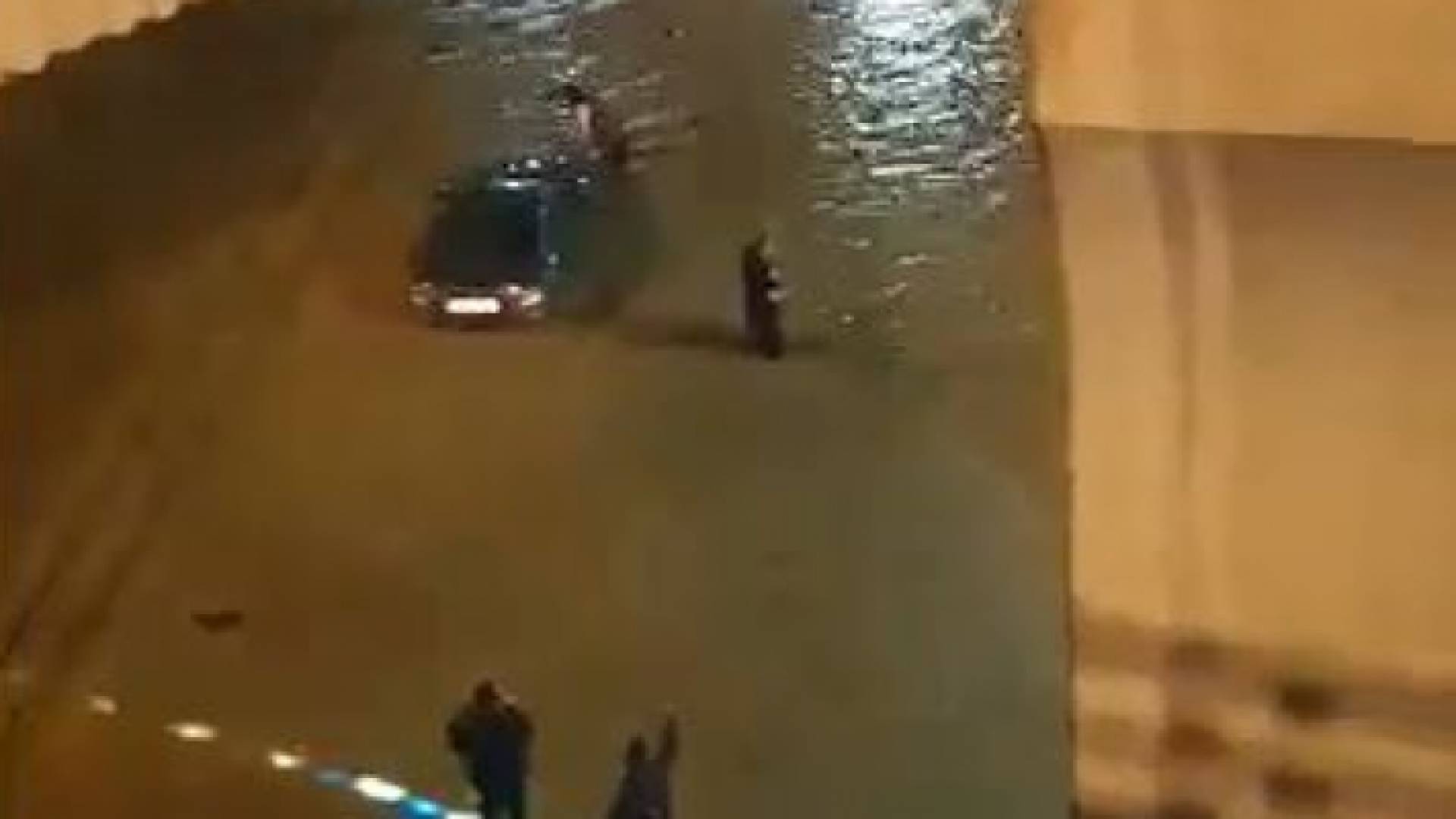 صورة من الفيديو