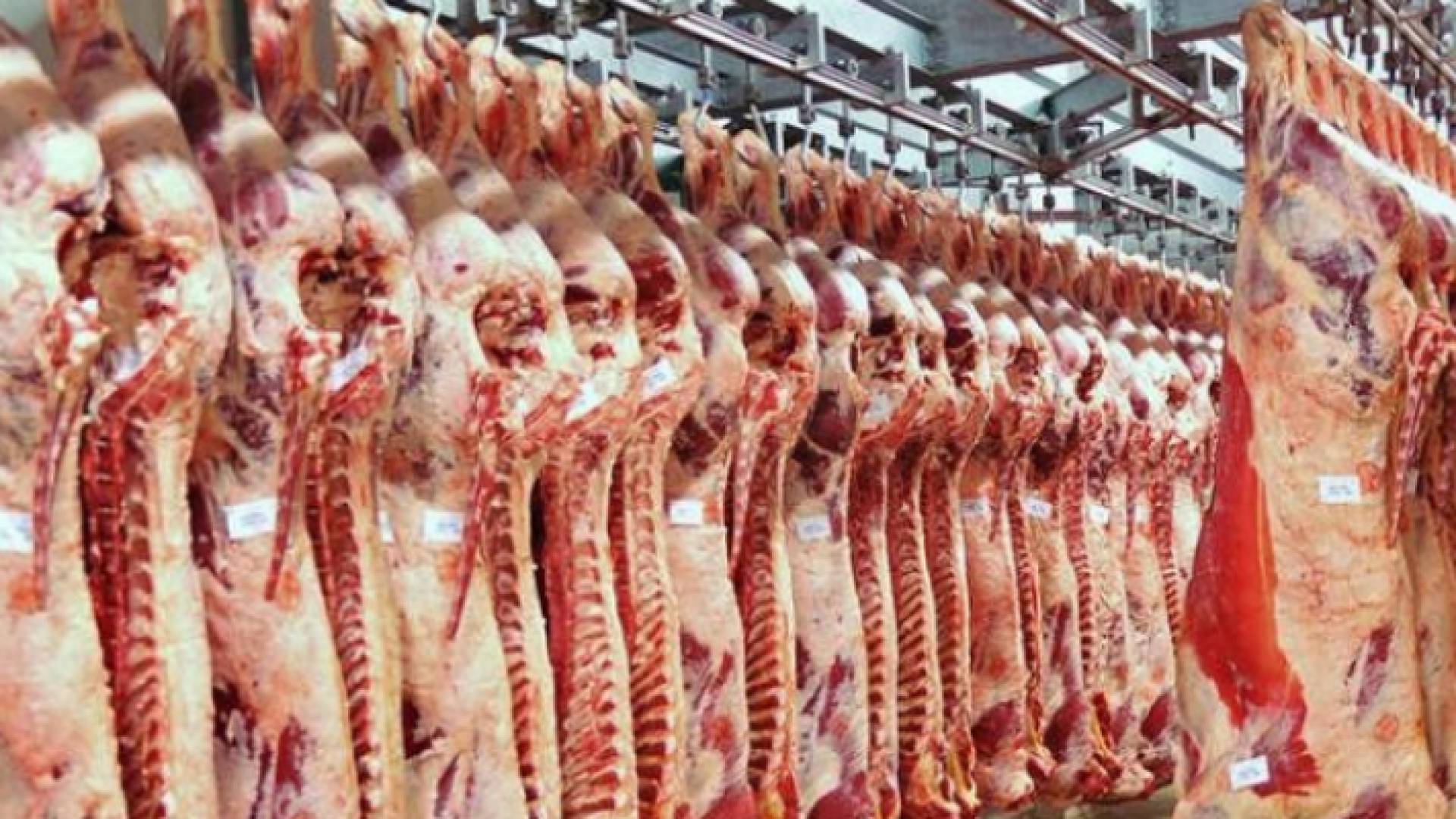 مسلخ الأمانة لا علاقة له بالأسعار