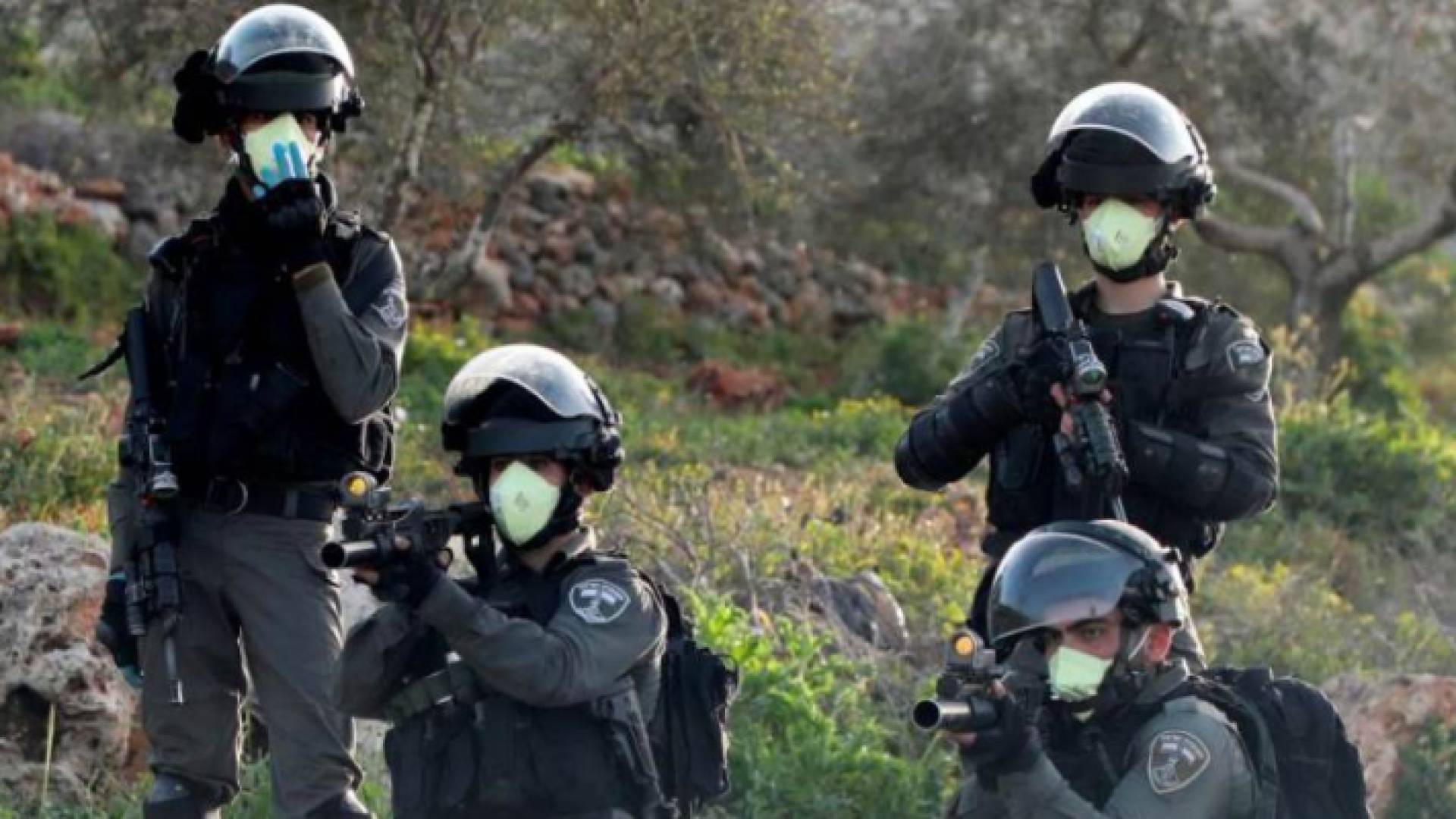 الصورة أرشيفية