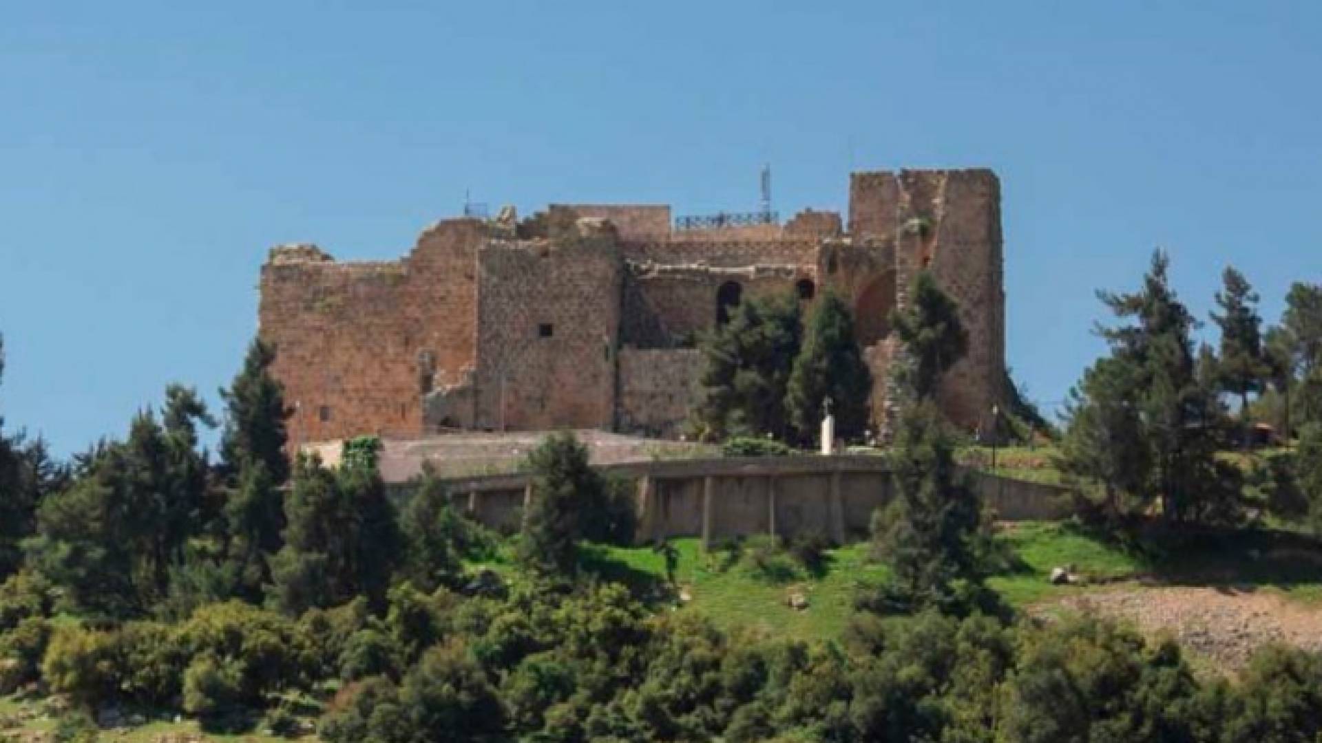 عجلون: يجب تضافر كافة الجهود الرسمية والشعبية للسيطرة على فيروس كورونا