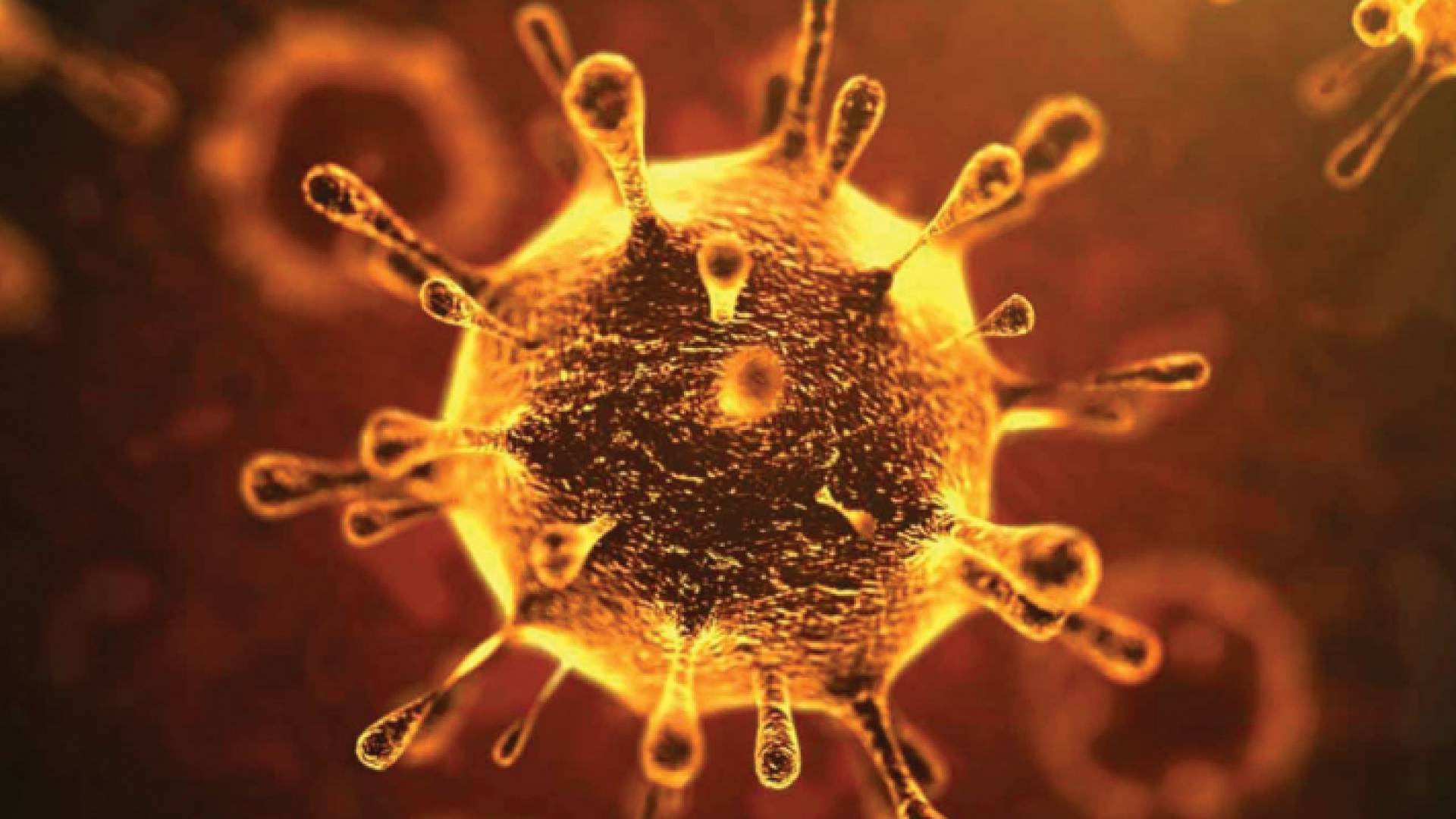 99% من الأشخاص المصابين بفيروس كورونا سيتعافون