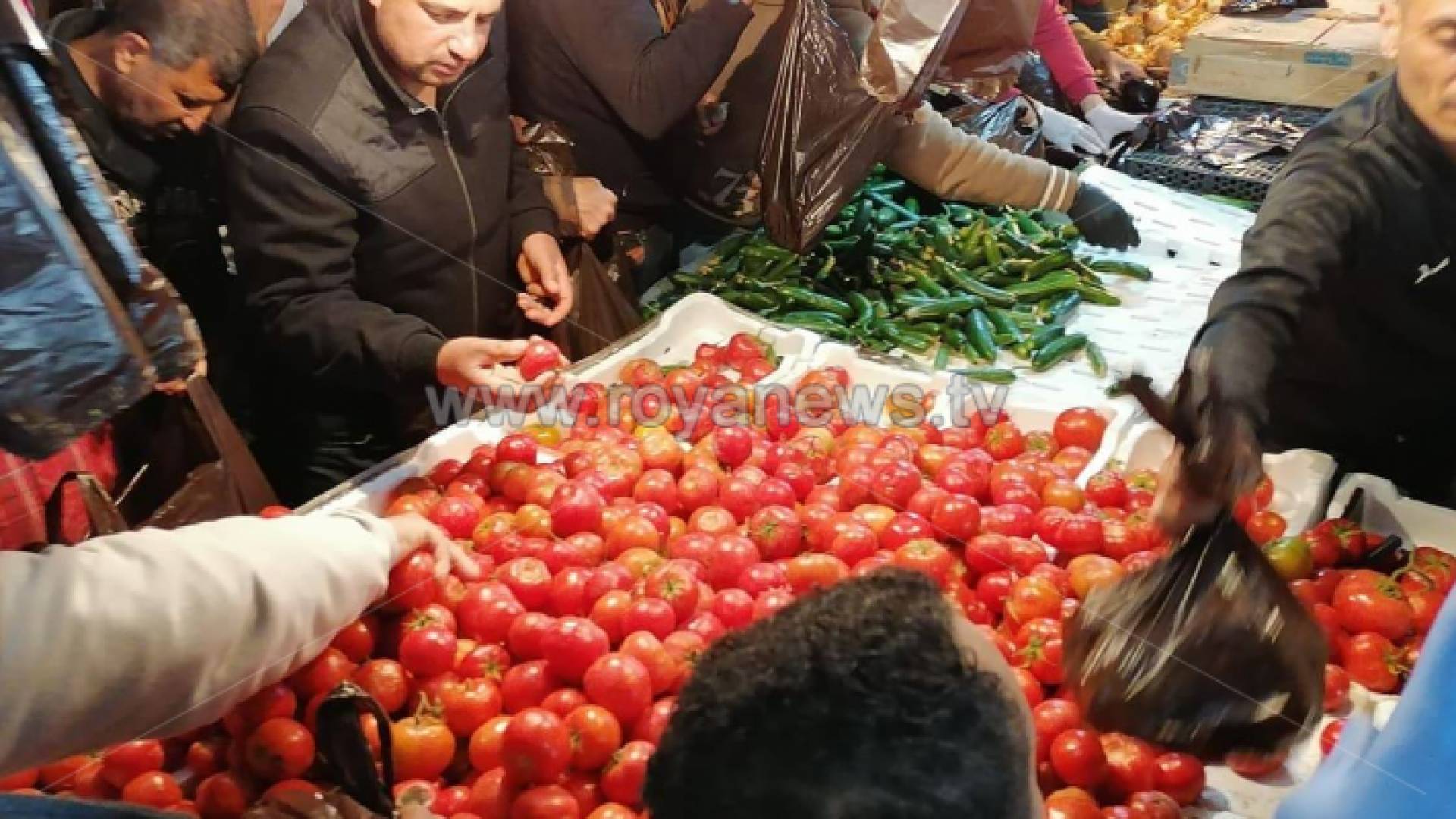 توقيف 5 اشخاص تجاوزوا السقوف السعرية للخضار