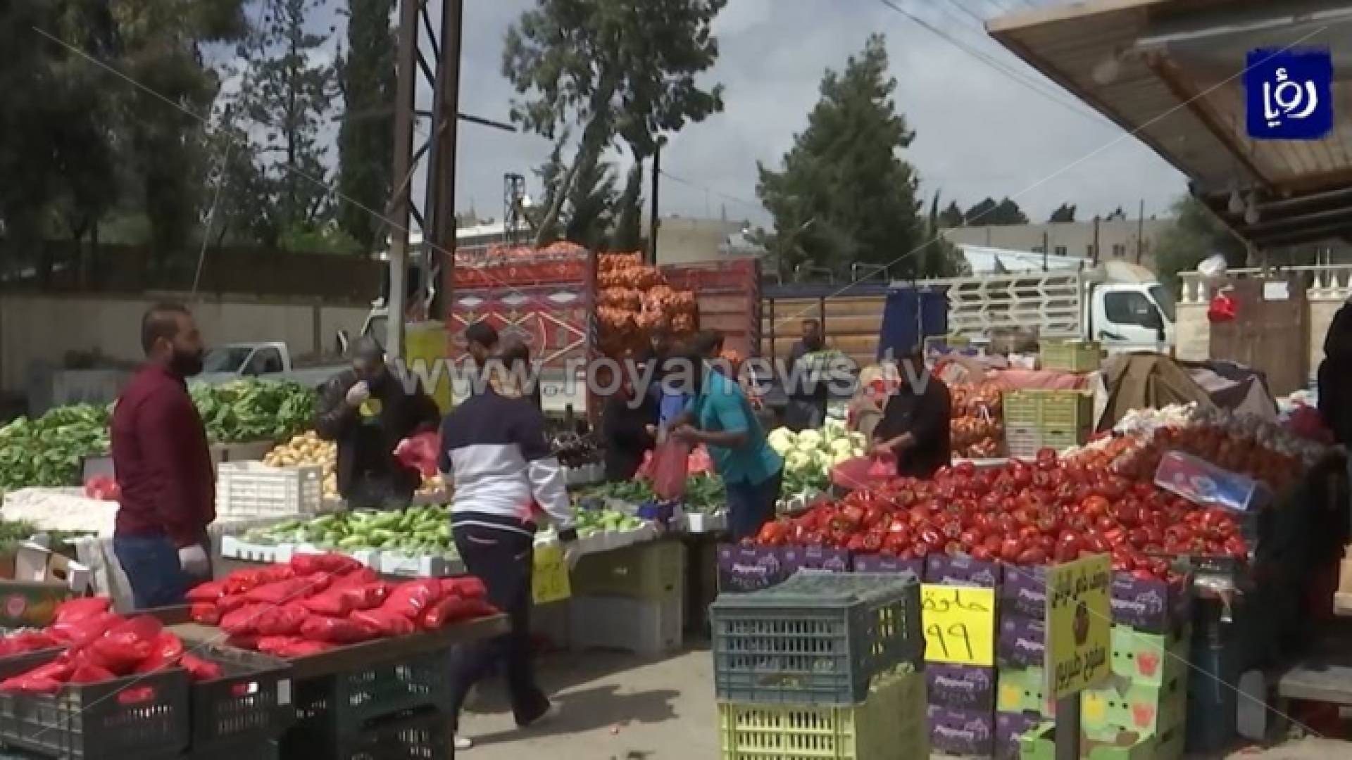 الصورة من الفيديو