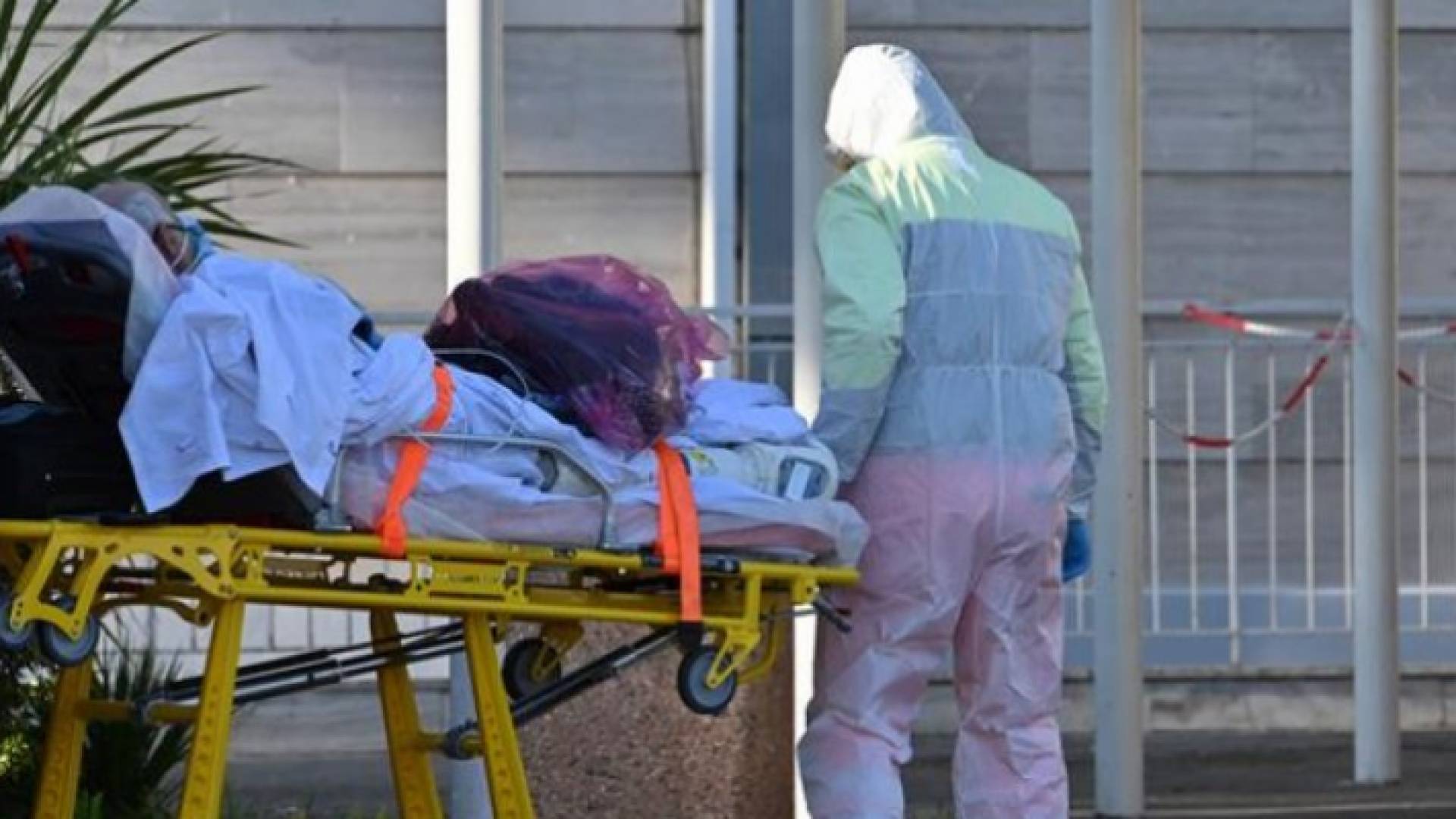 لجنة الأوبئة لـ "رؤيا": تم استشارة دائرة الإفتاء حول دفن المتوفية بسبب كورونا