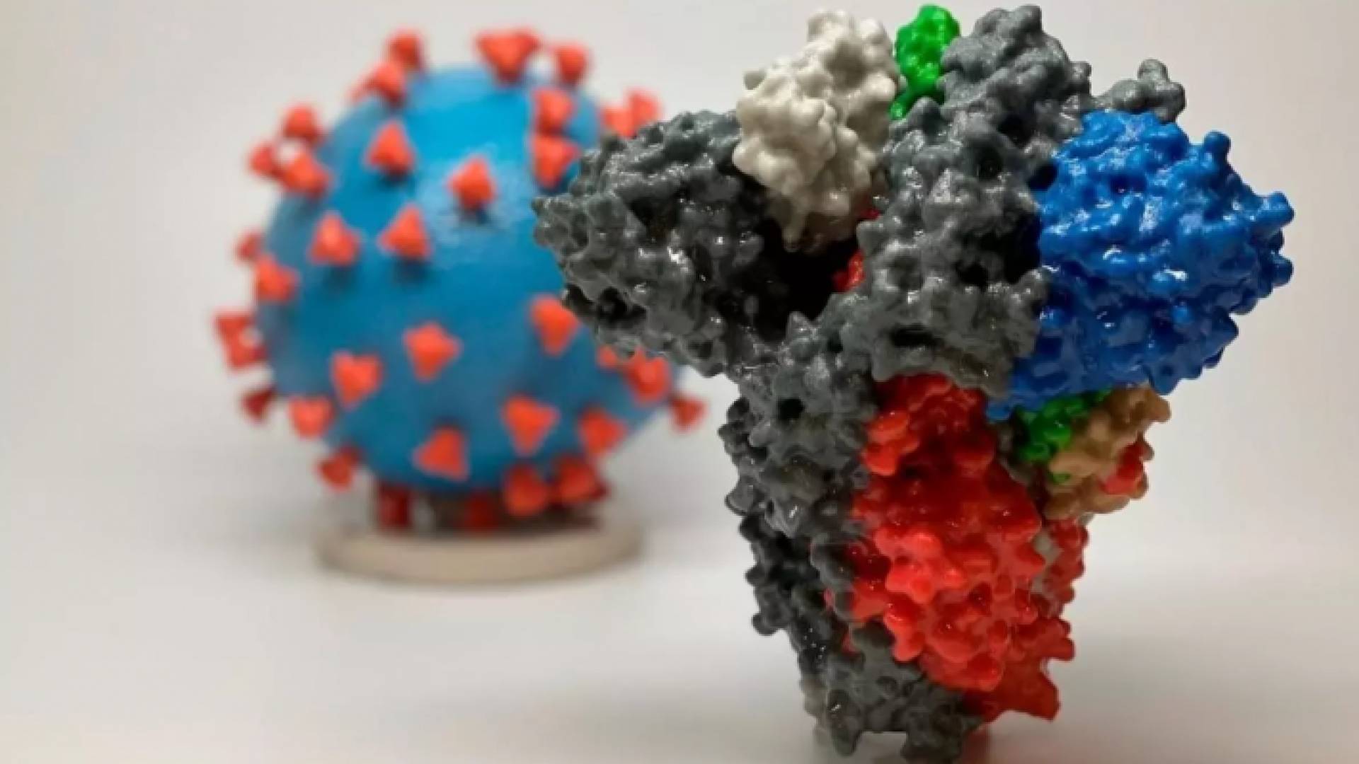 فيروس كورونا