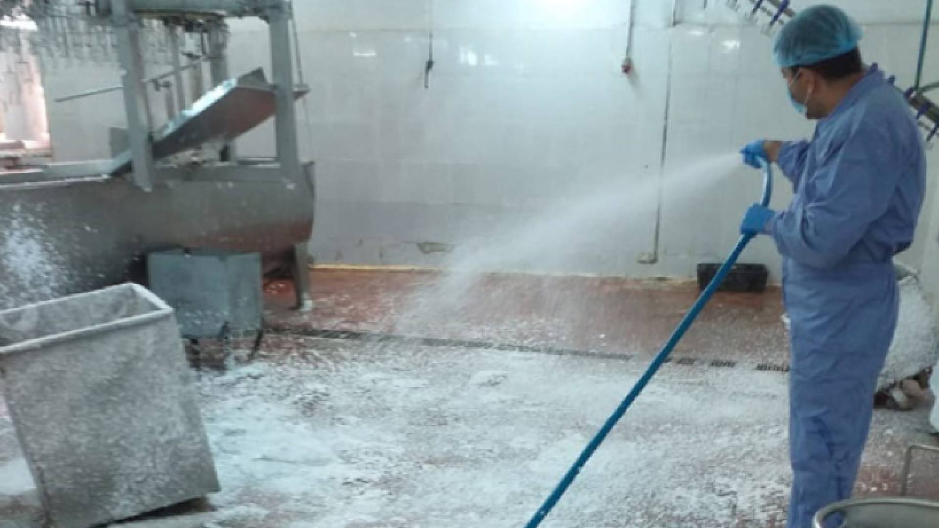 الأمانة: ذبح 11 رأسا من الأبقار و 219 رأسا من الضأن