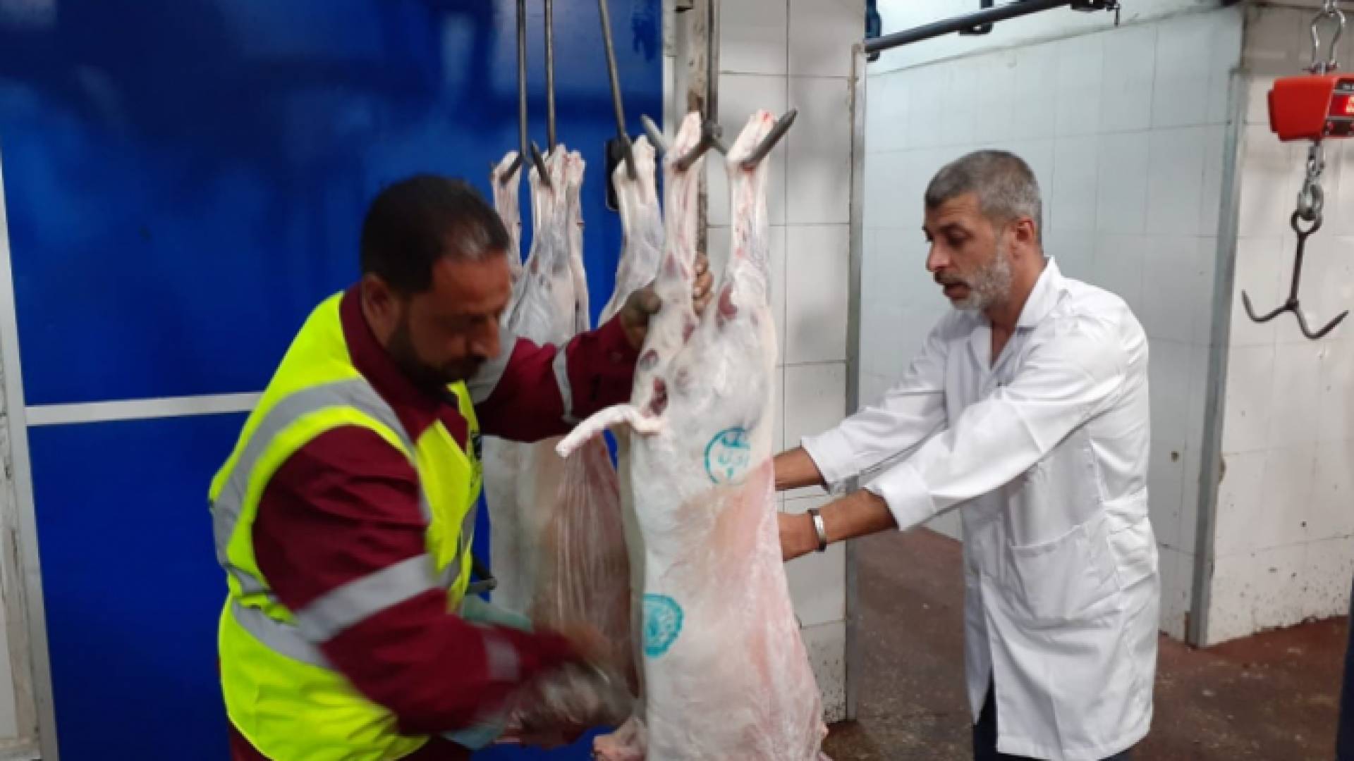 مسلخ الأمانة: ذبح 416 رأس ضأن