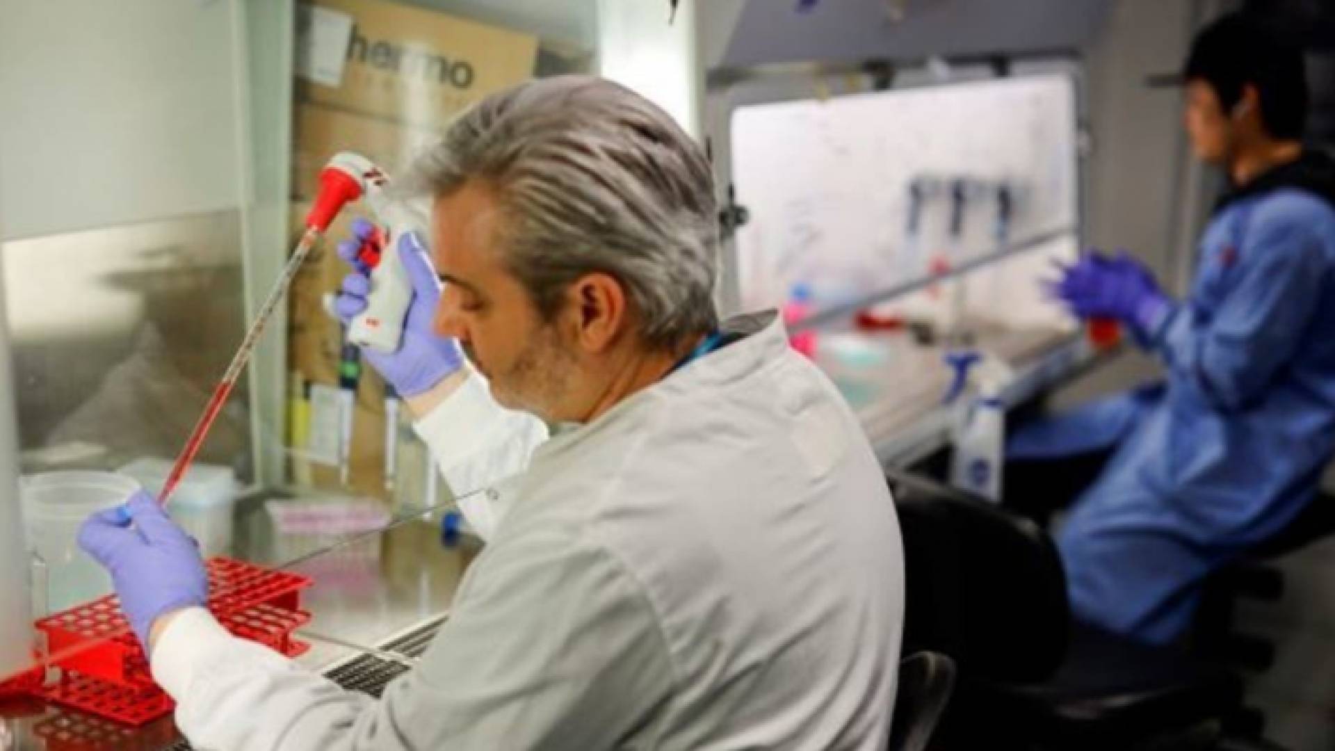 دراسات جديدة تبث أملا حول علاج محتمل لفيروس كورونا..تفاصيل