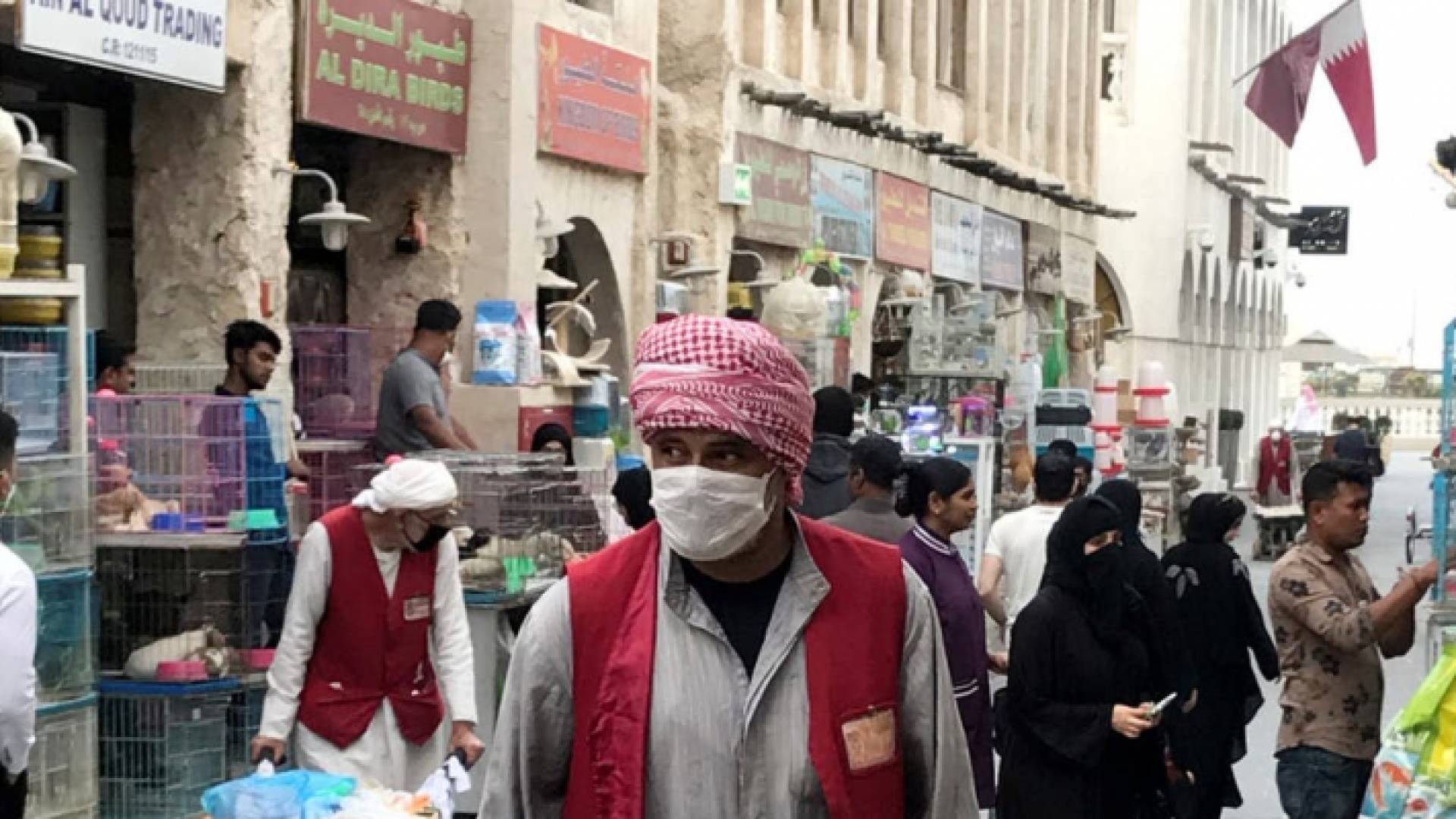 ارشيفية