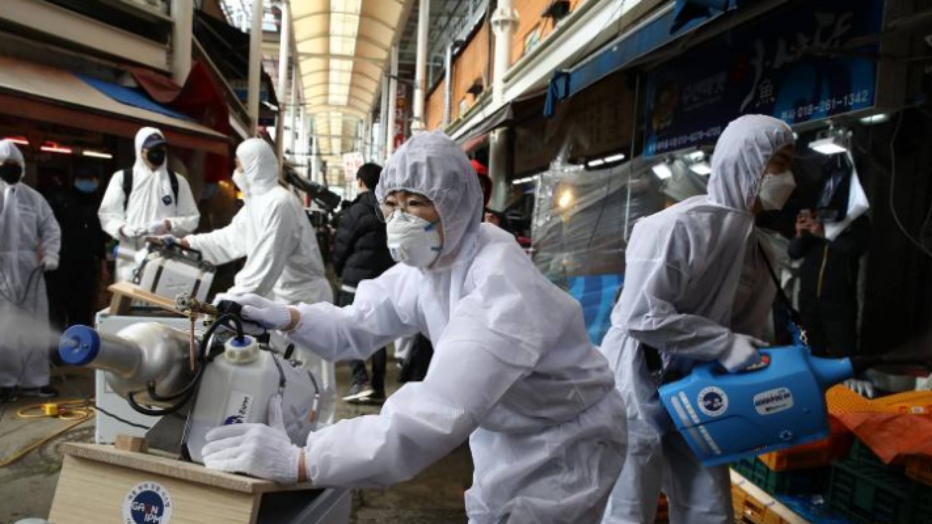 ارتفاع عدد حالات الشفاء من فيروس كورونا حول العالم إلى 240 ألف حالة